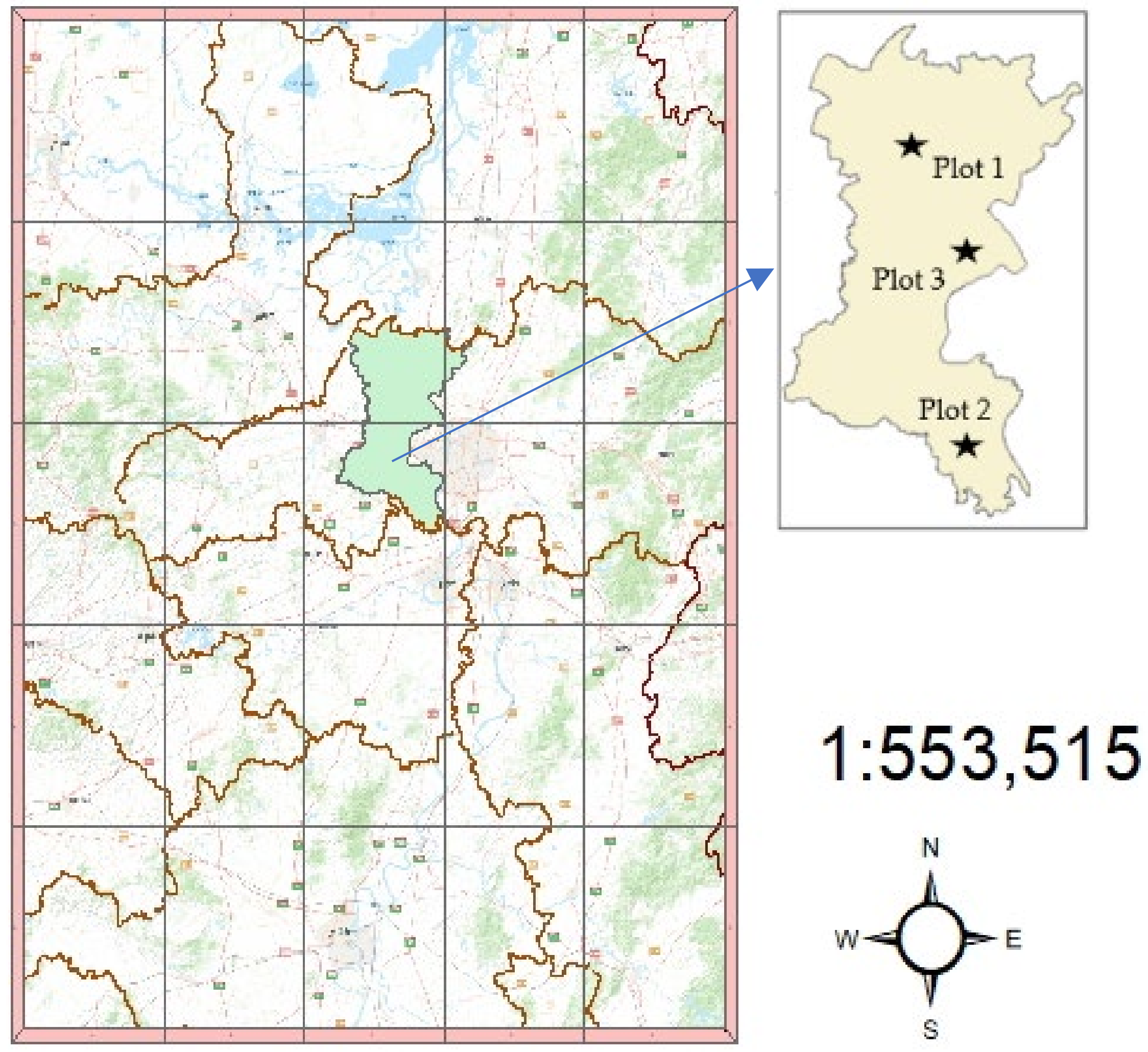 Forests 13 00463 g001