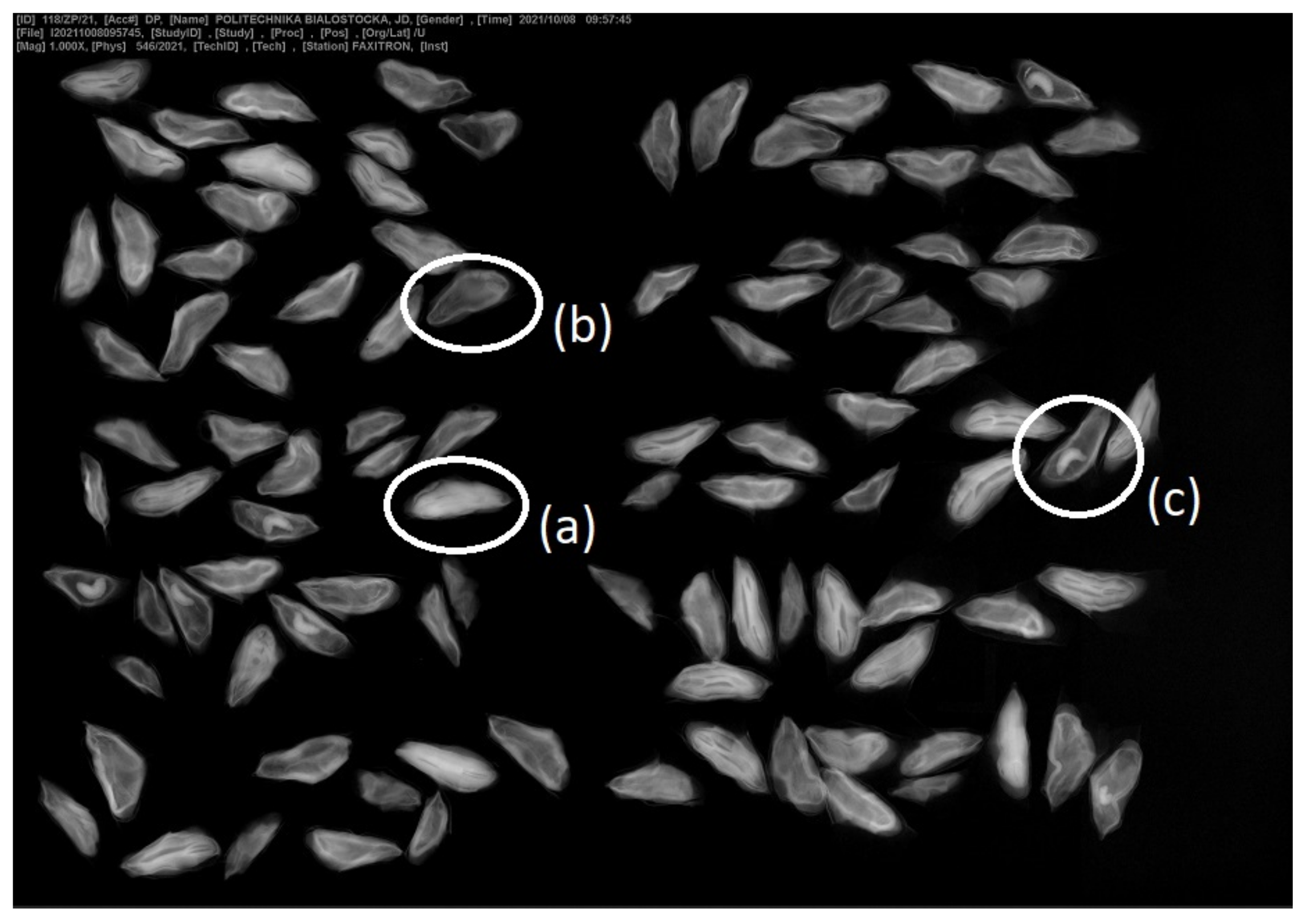 Forests 13 00479 g004