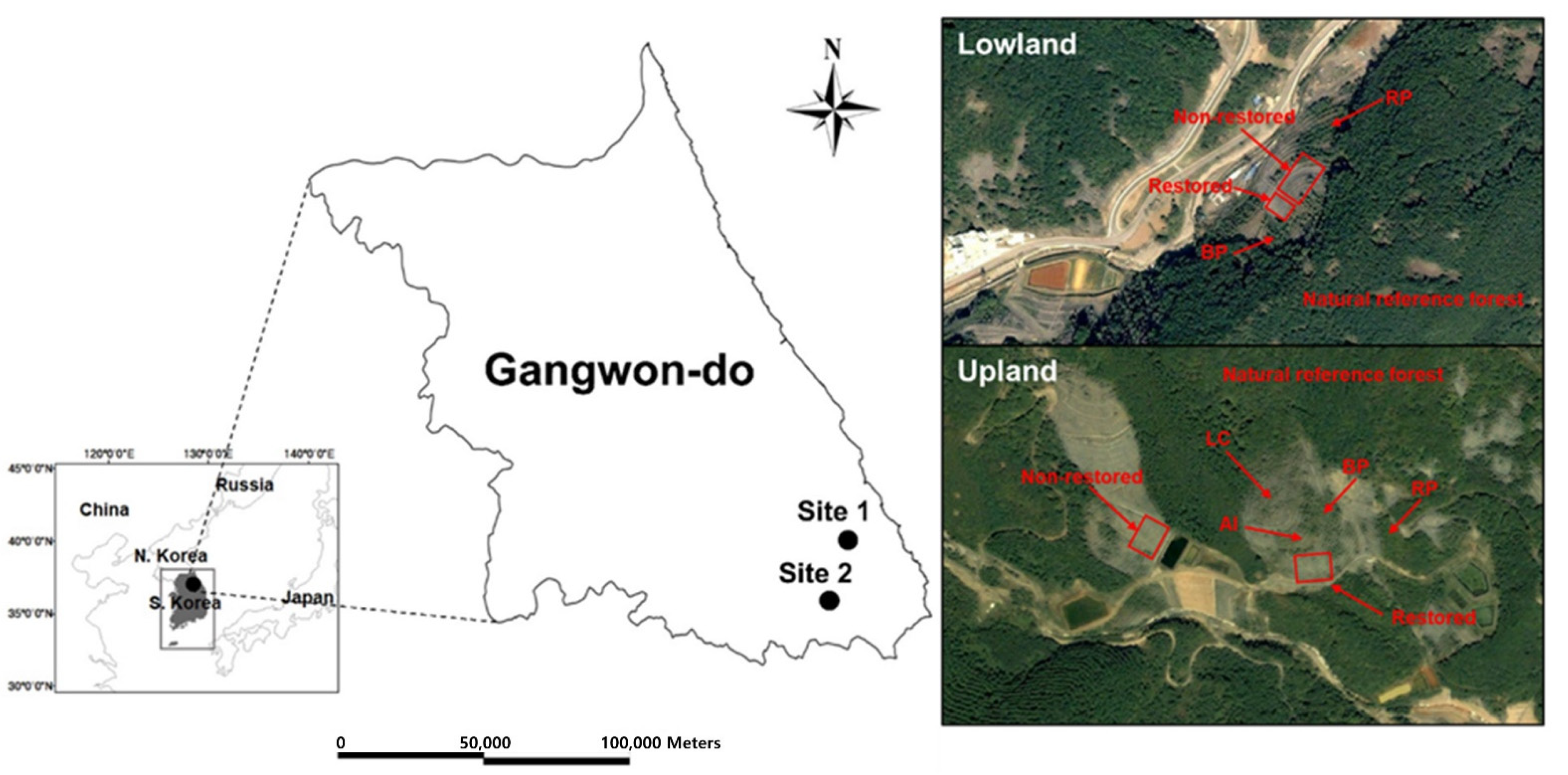 Forests 13 00483 g001 Forests 13 00483 g001