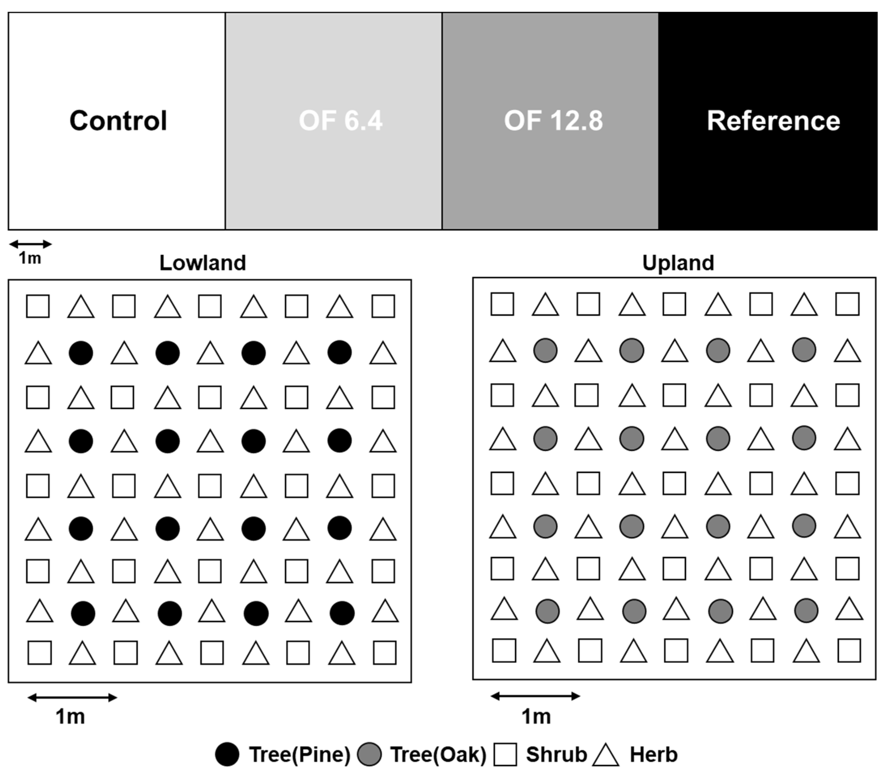 Forests 13 00483 g002 Forests 13 00483 g002