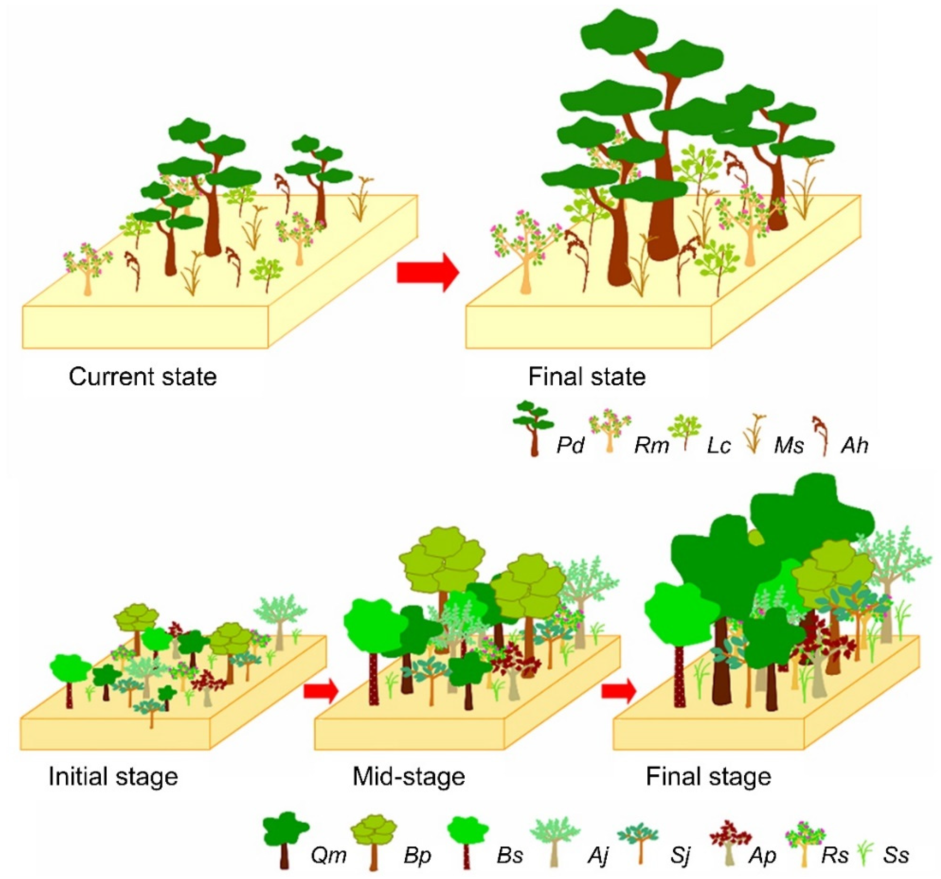 Forests 13 00483 g003 Forests 13 00483 g003