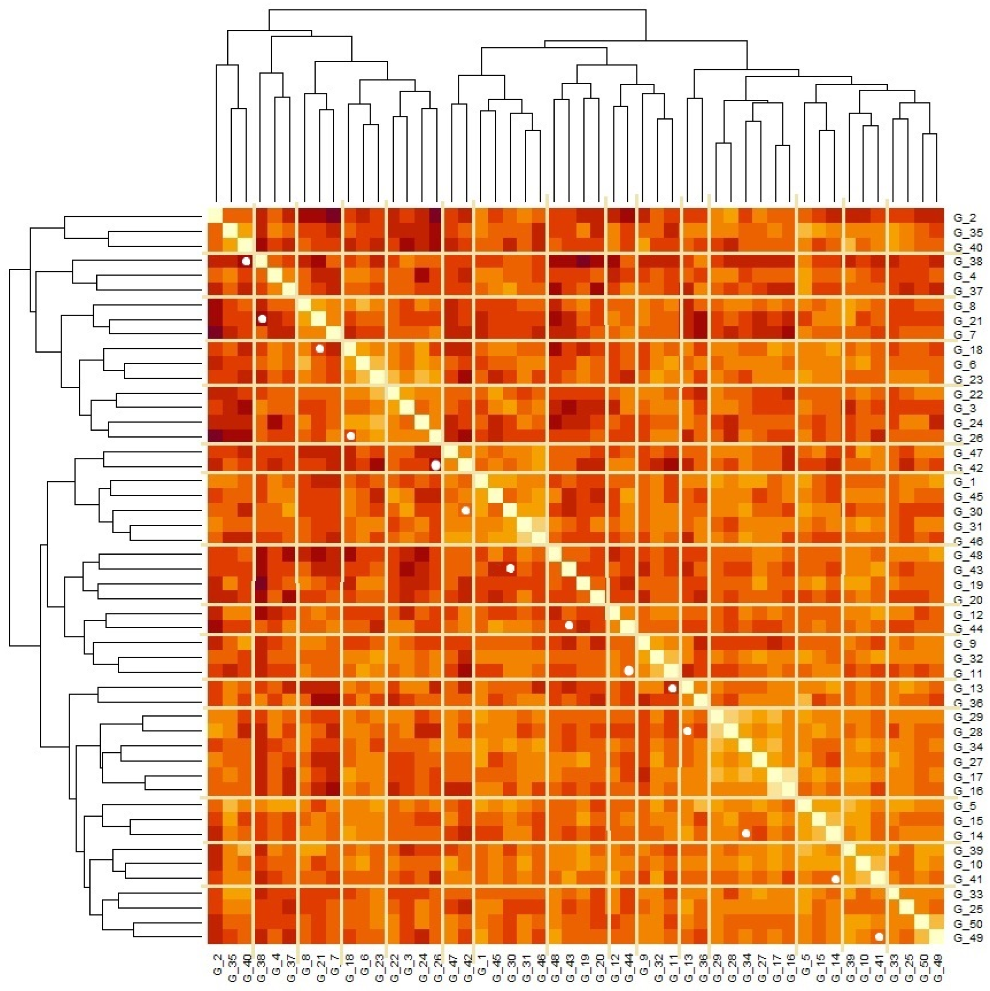 Forests 13 00489 g002 550