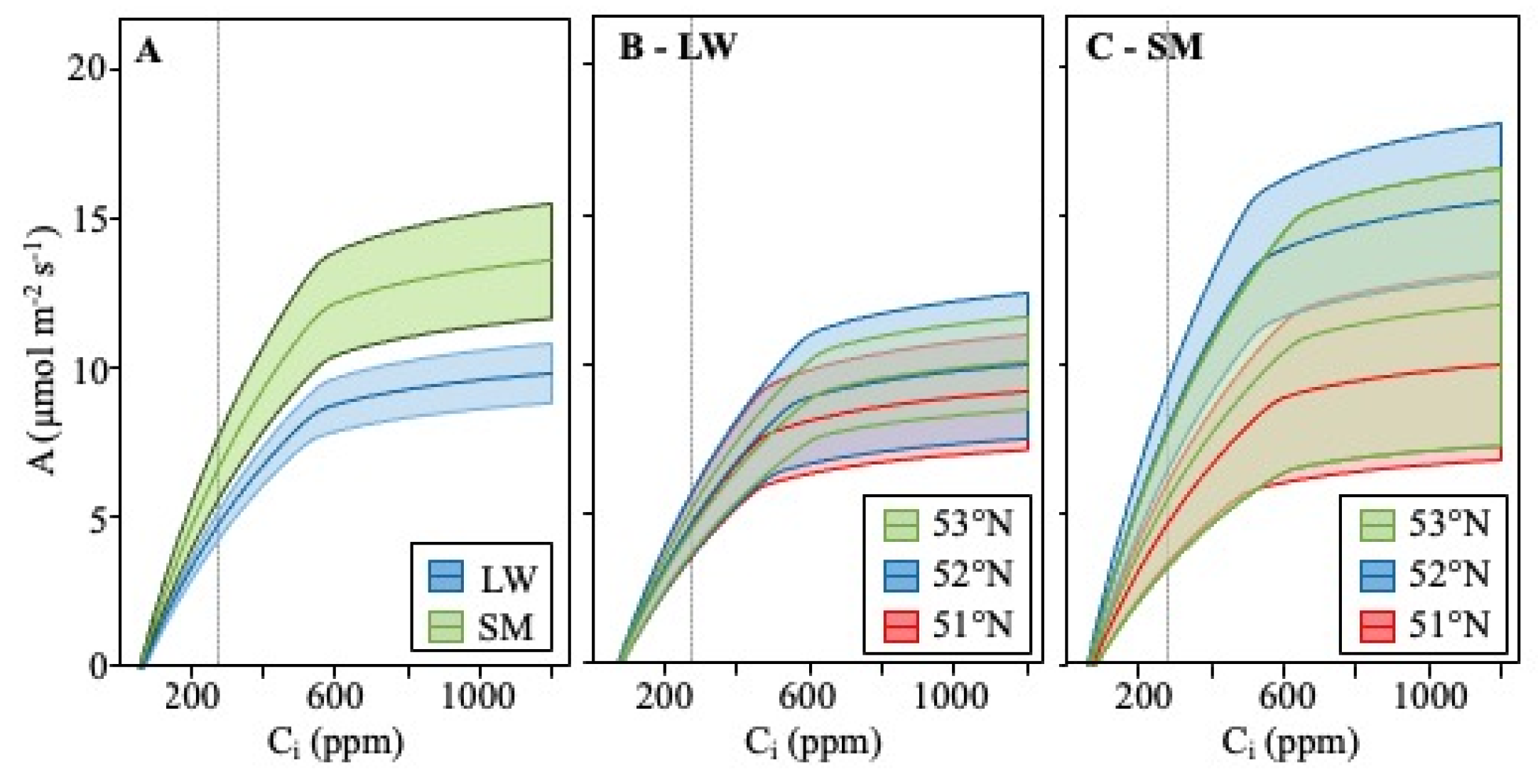 Forests 13 00491 g002 Forests 13 00491 g002
