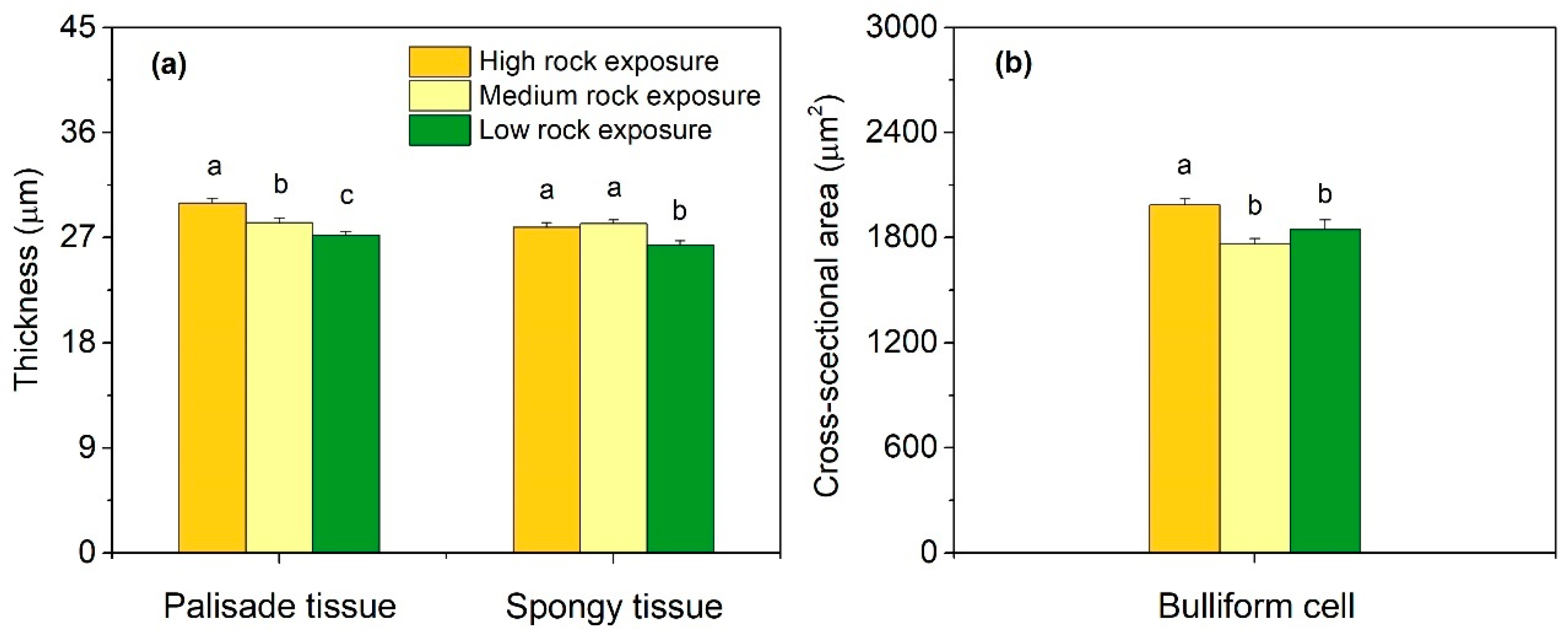 Forests 13 00493 g003