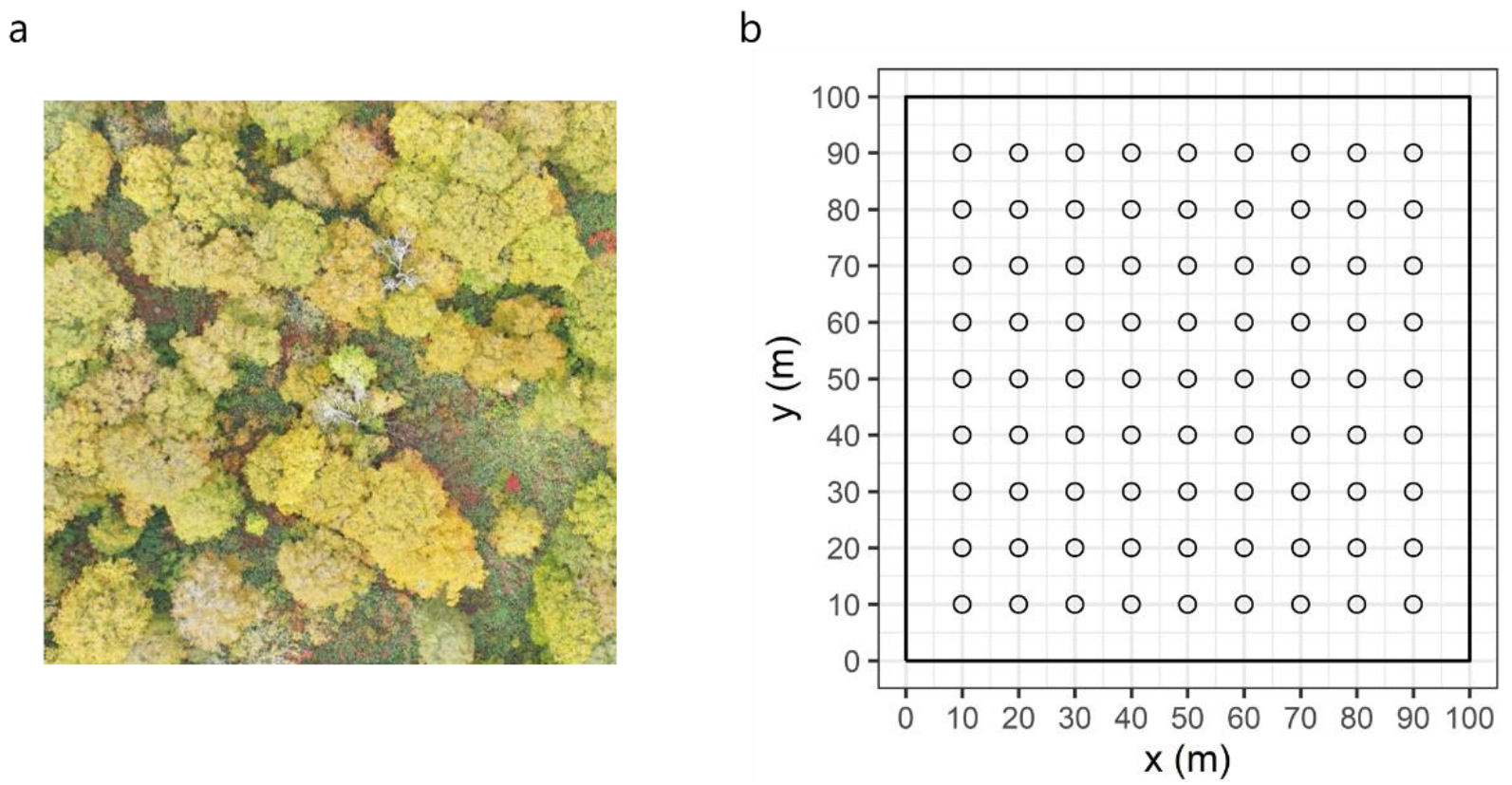 Forests 13 00494 g002 550