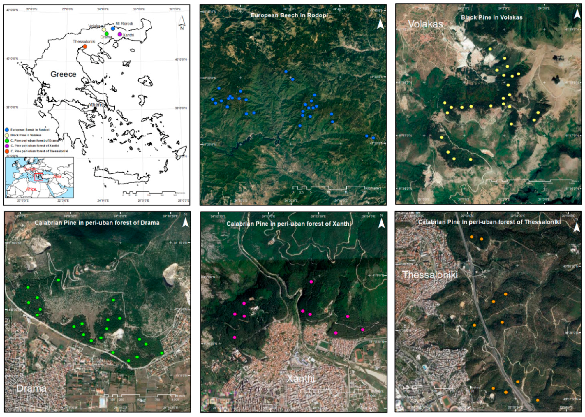 Forests 13 00499 g001