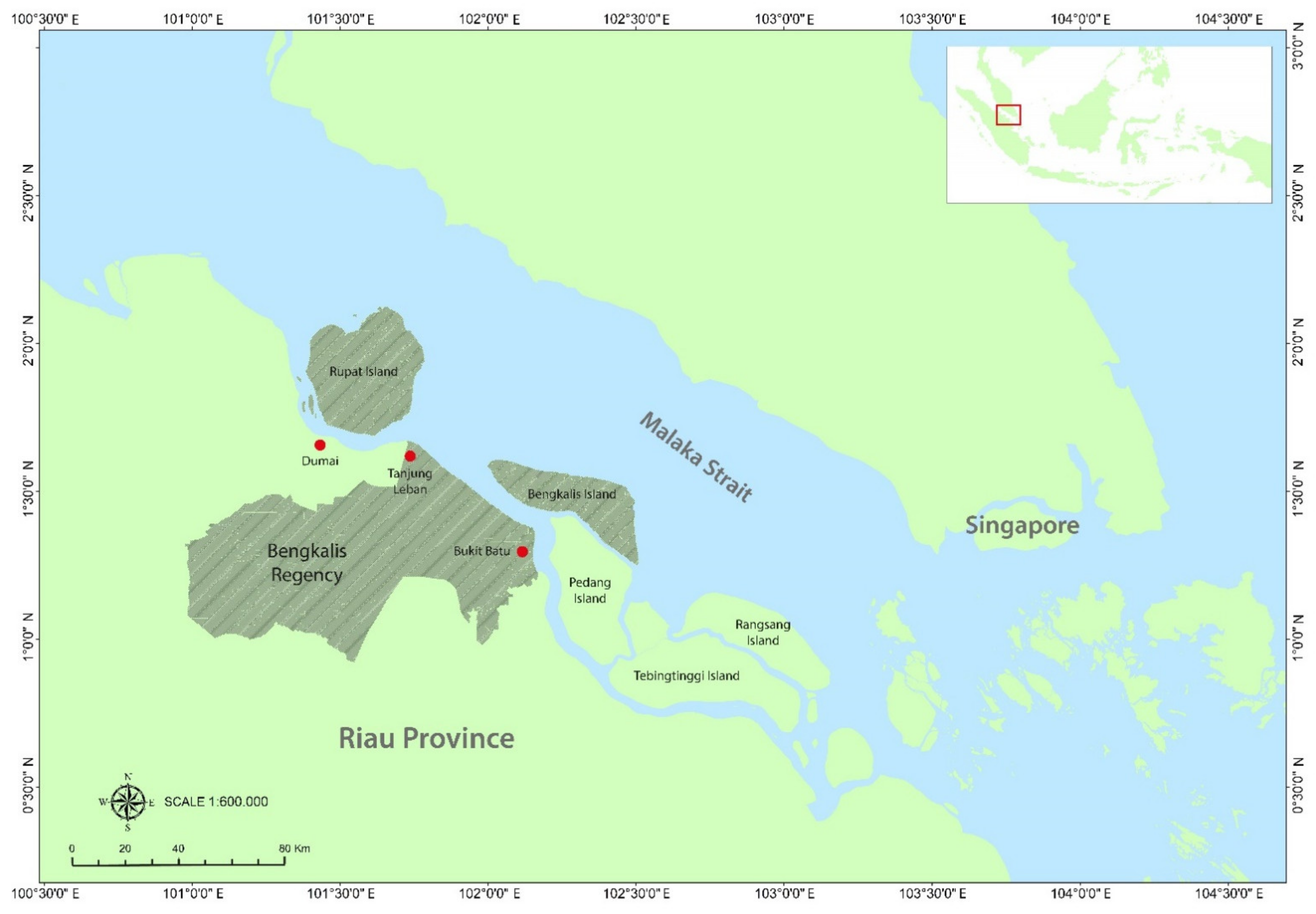 Indo Av Tube Forests | Free Full-Text | Rewetting Tropical Peatlands Reduced Net Greenhouse Gas Emissions in Riau Province, Indonesia