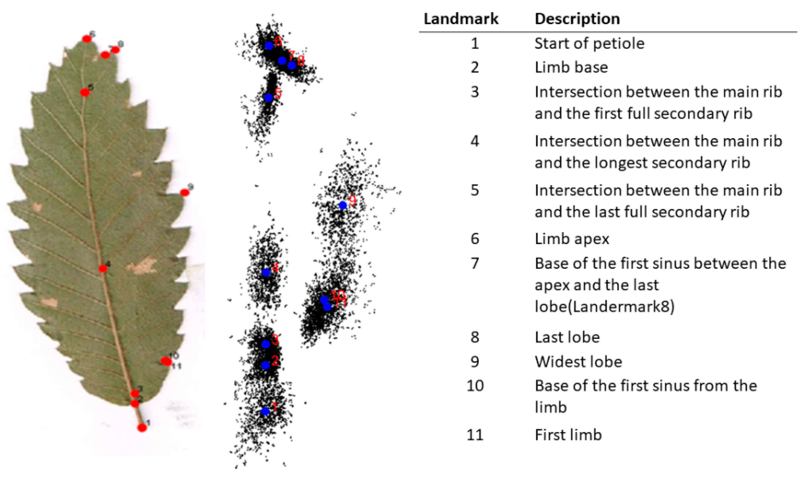Forests 13 00508 g002