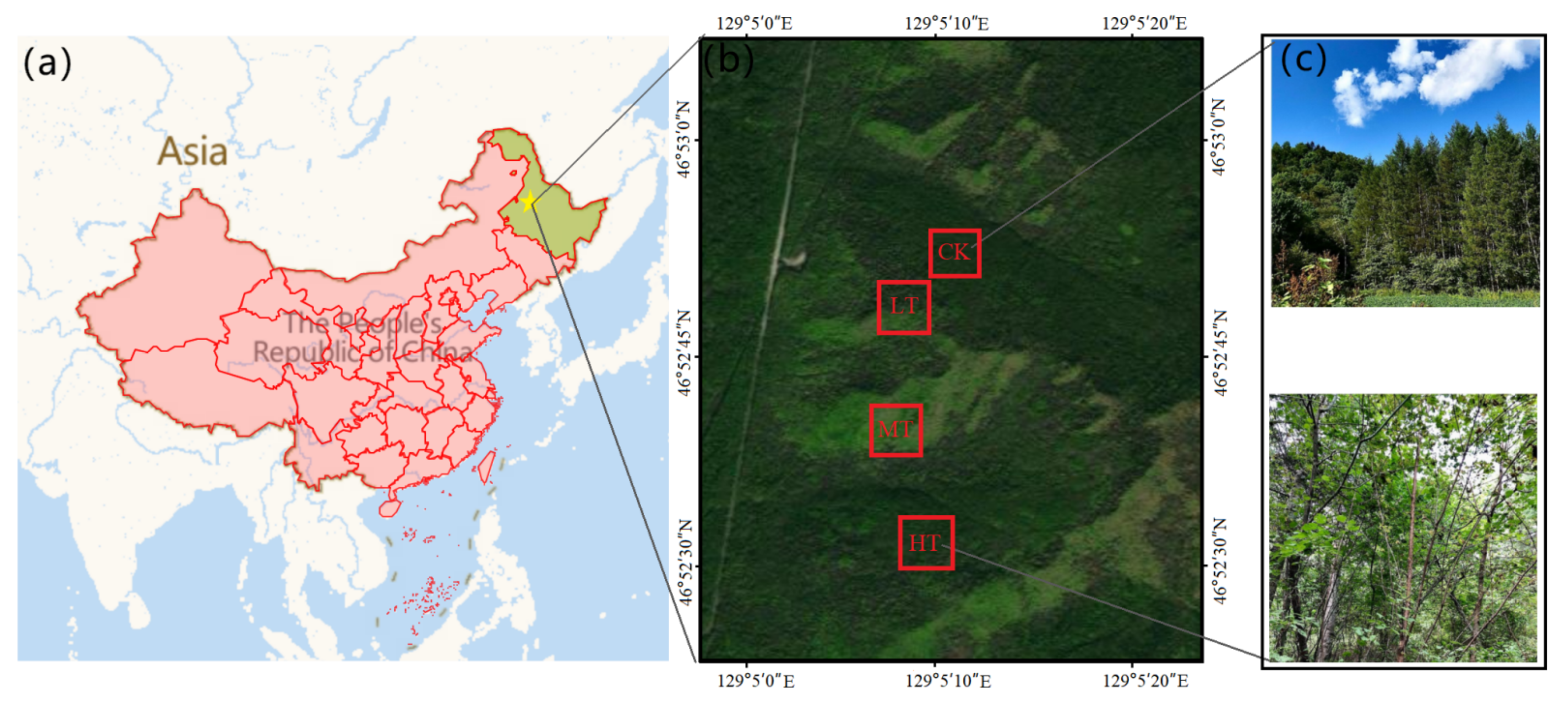 Forests 13 00512 g001 550
