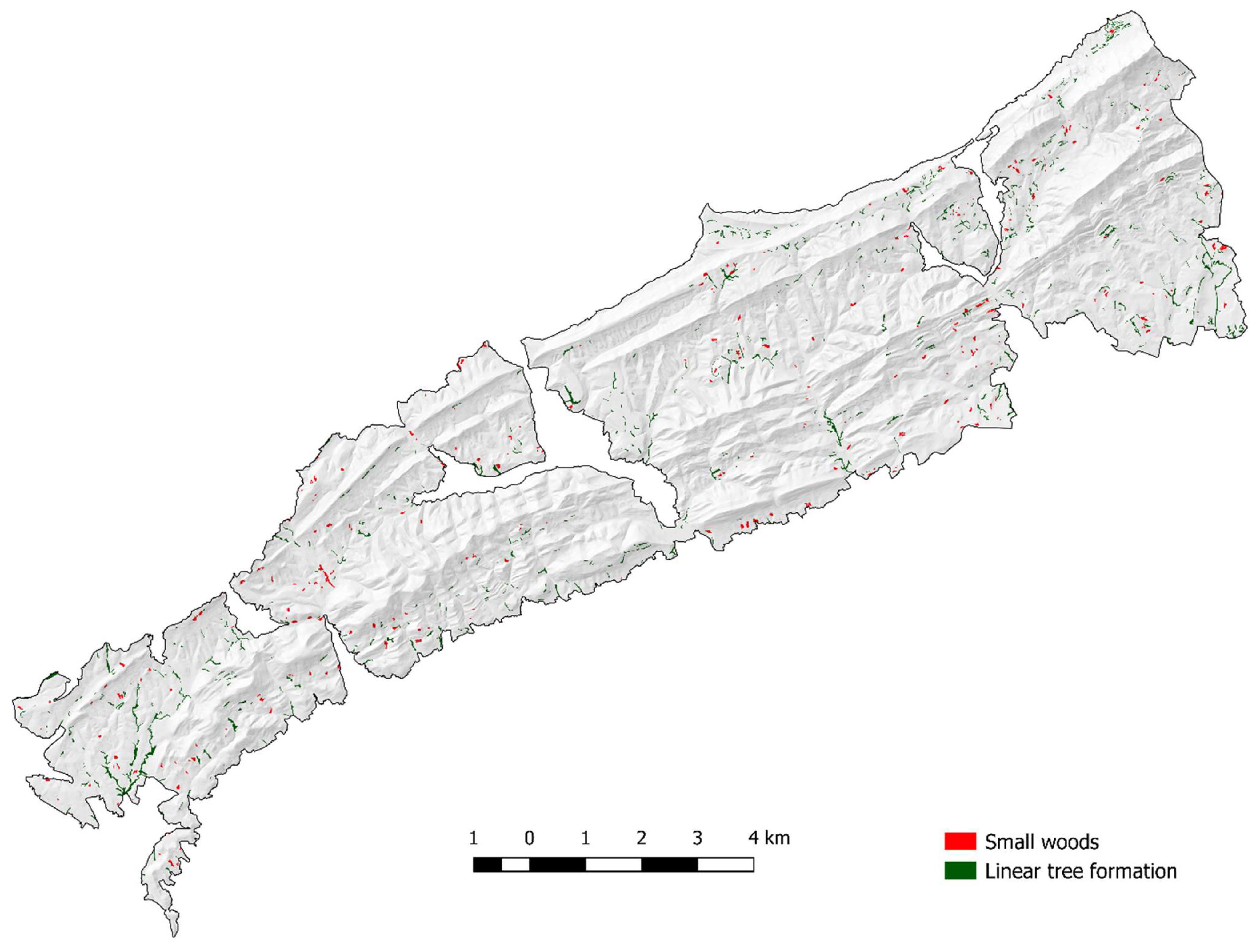 Forests 13 00514 g002