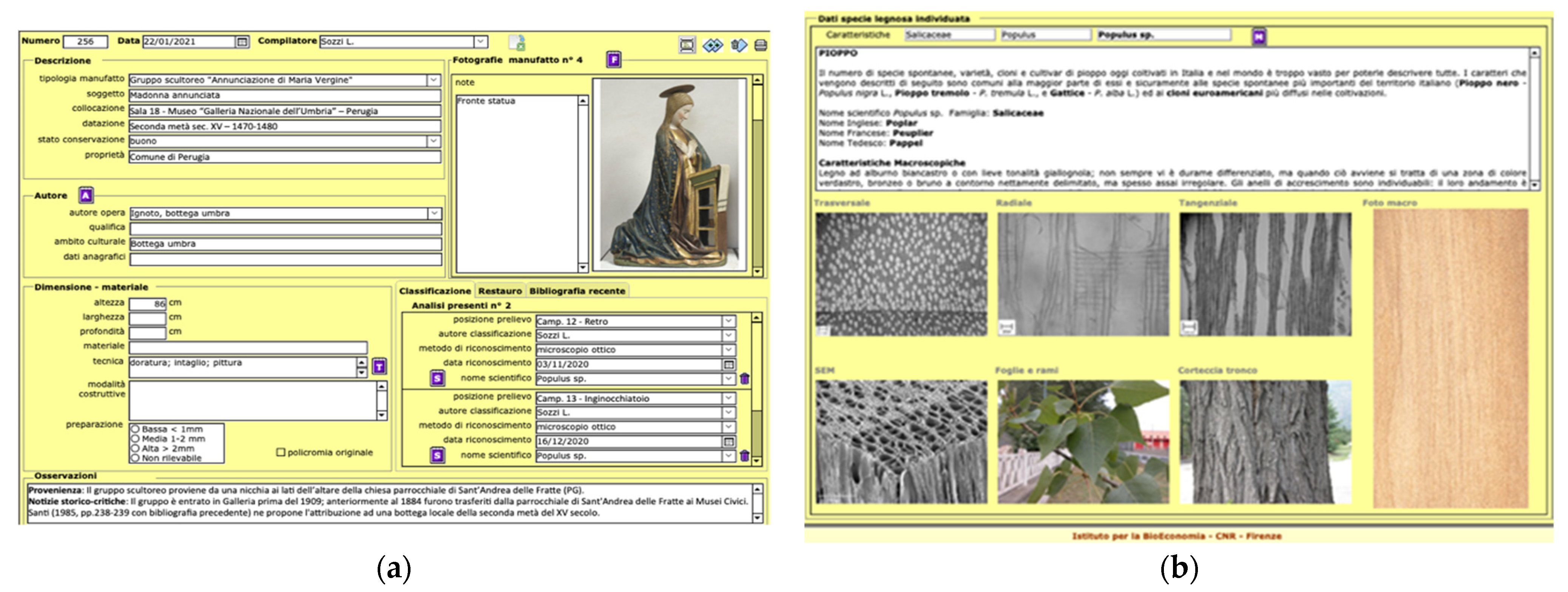 Forests 13 00517 g001 550