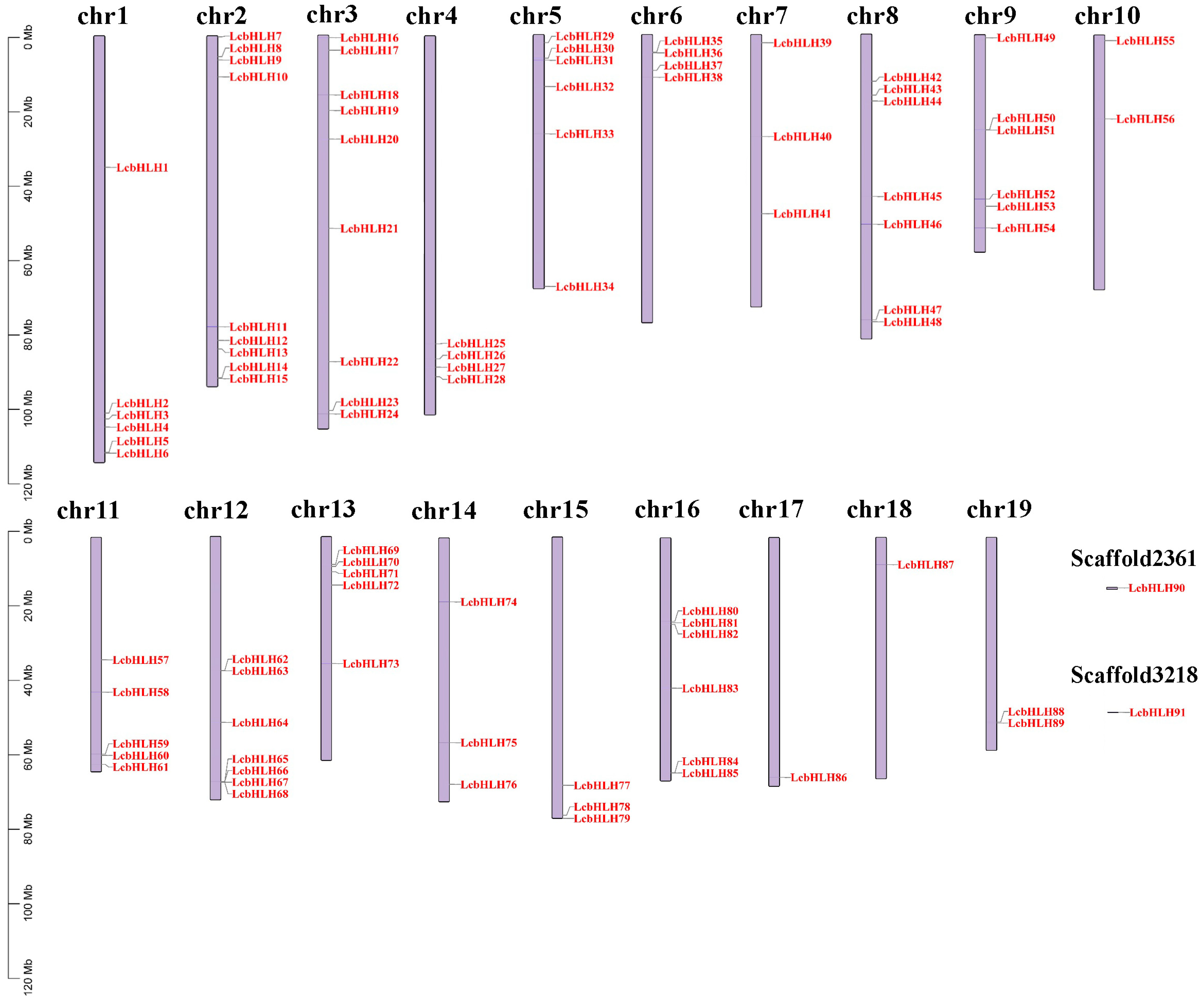 Forests 13 00518 g004