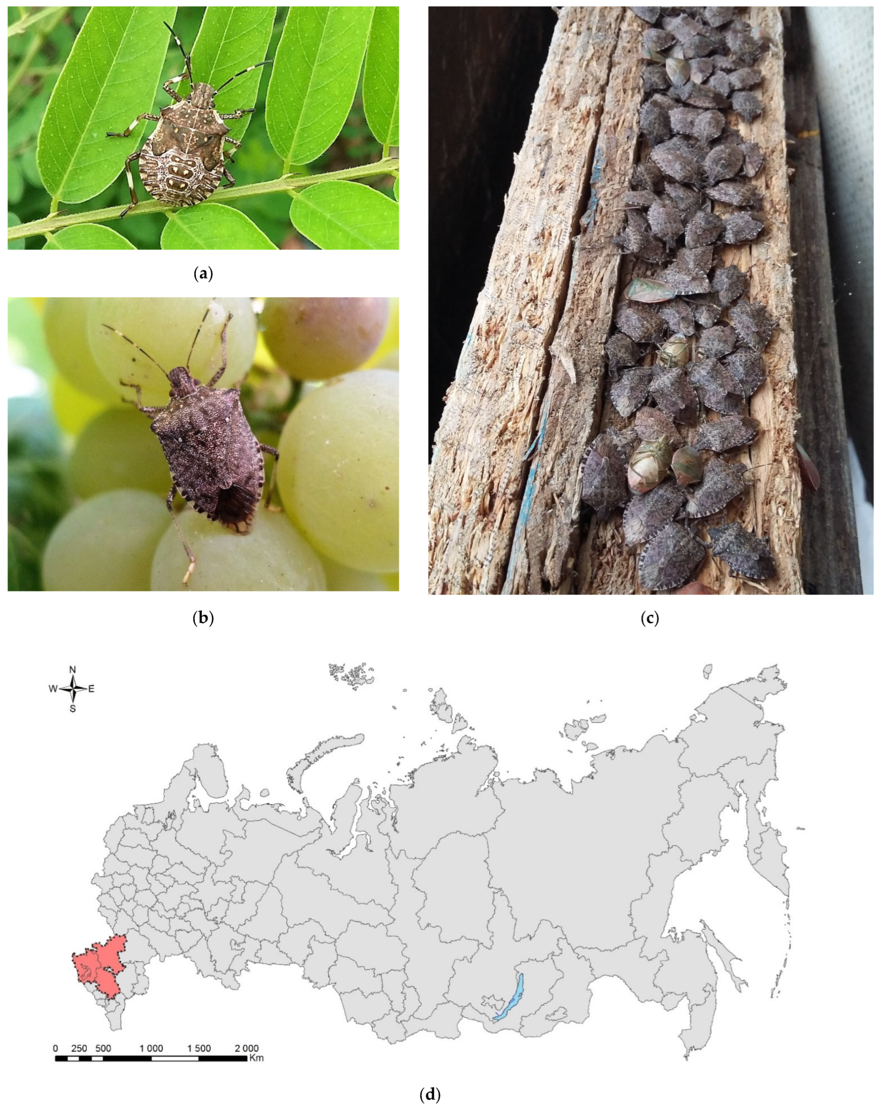 Forests 13 00521 g002 Forests 13 00521 g002