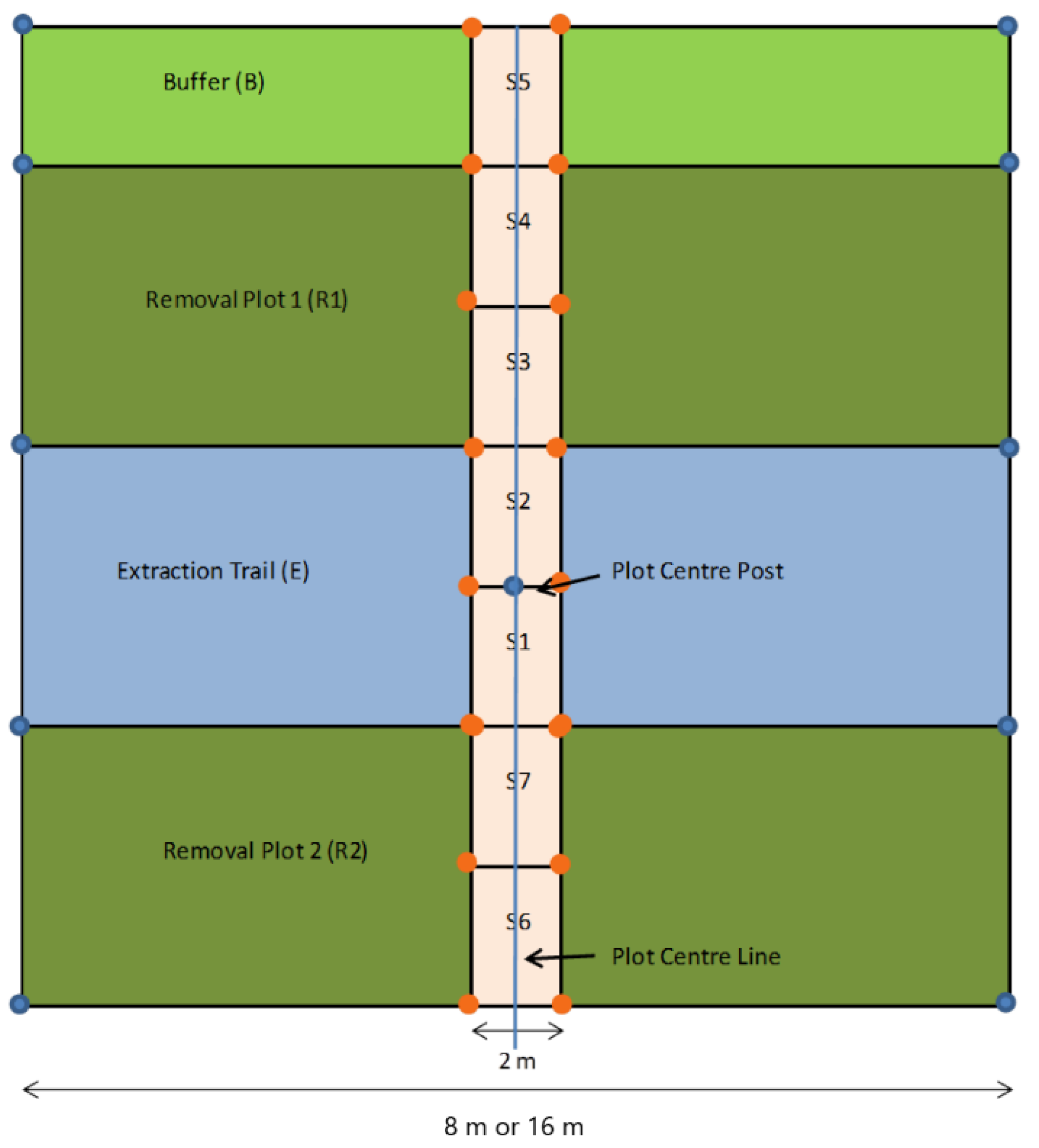 Forests 13 00533 g002 550
