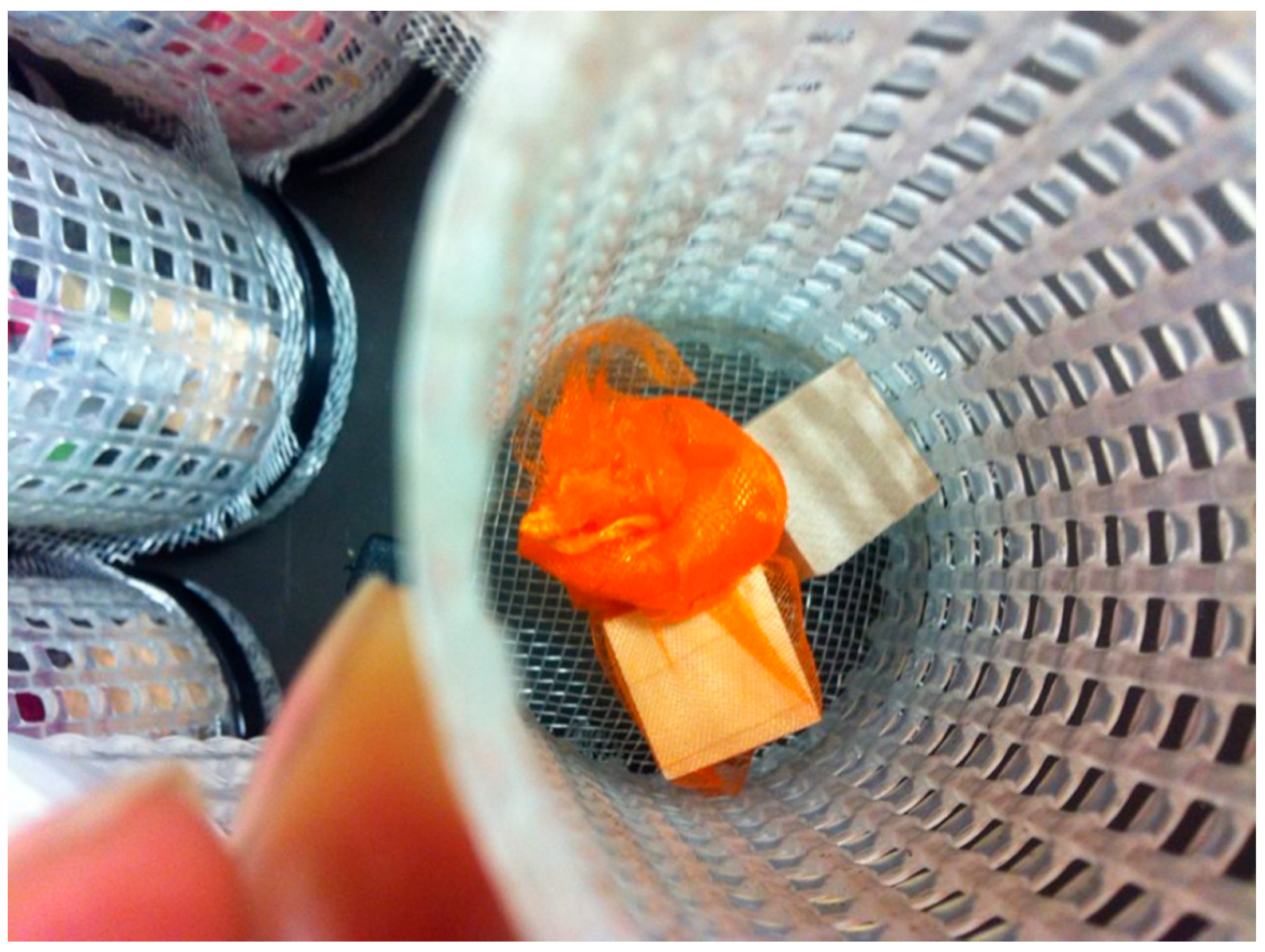 Forests 13 00536 g0a1