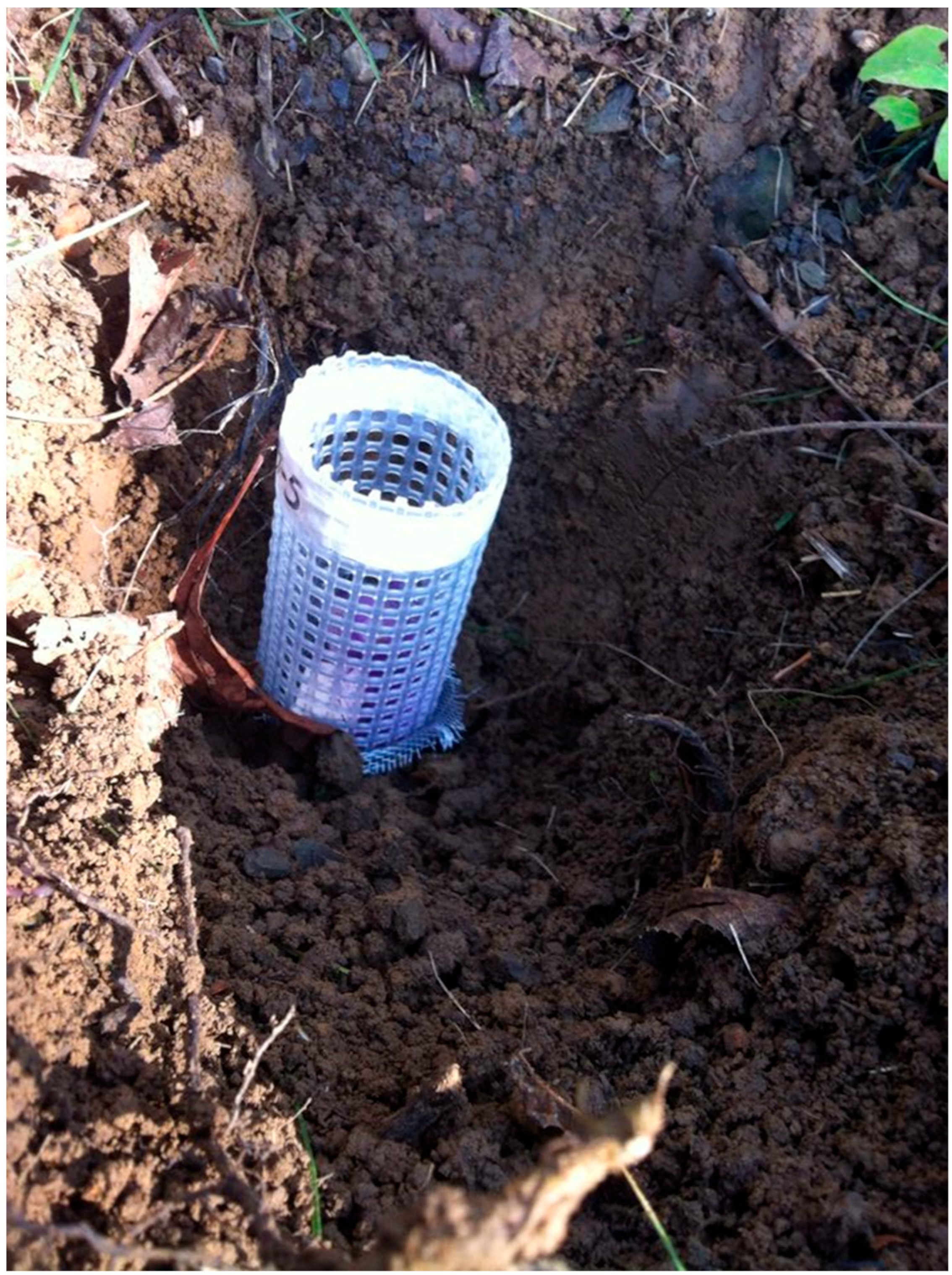 Forests 13 00536 g0a2