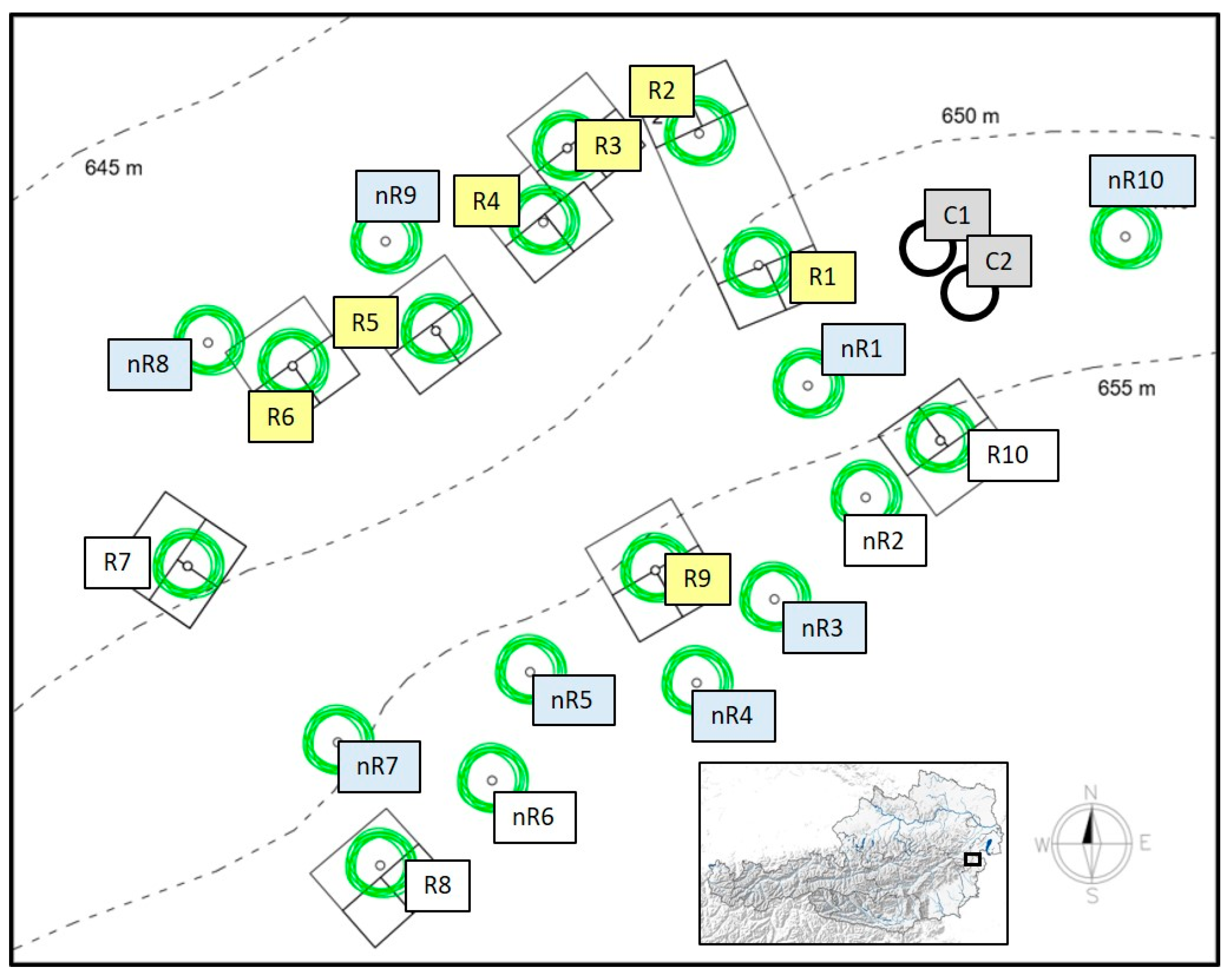 Forests 13 00537 g001