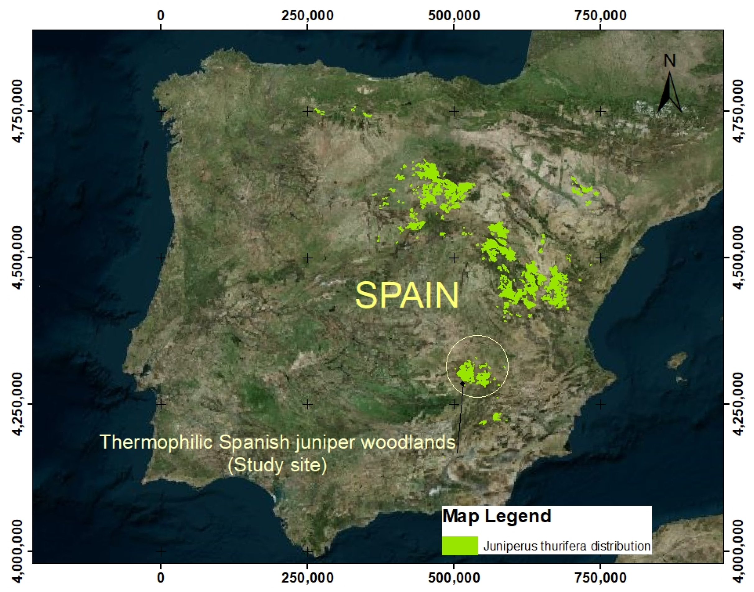 Forests 13 00538 g001 Forests 13 00538 g001