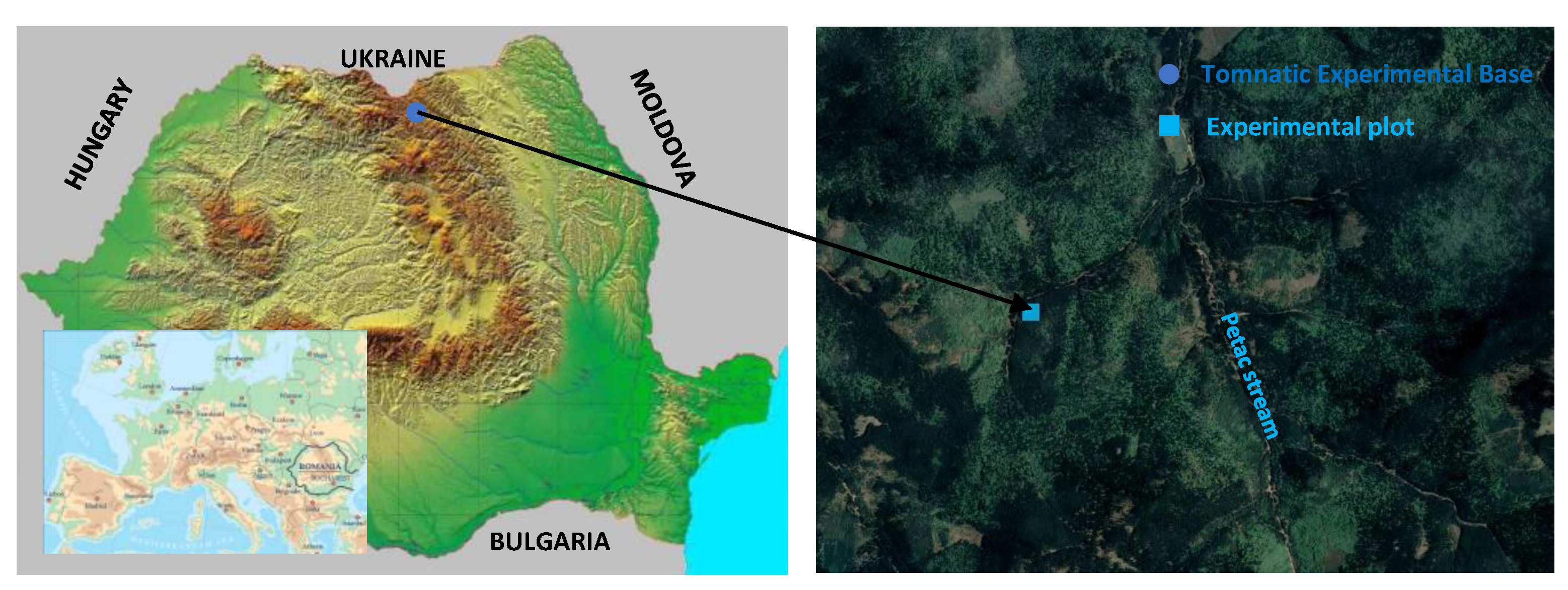 Forests 13 00540 g001