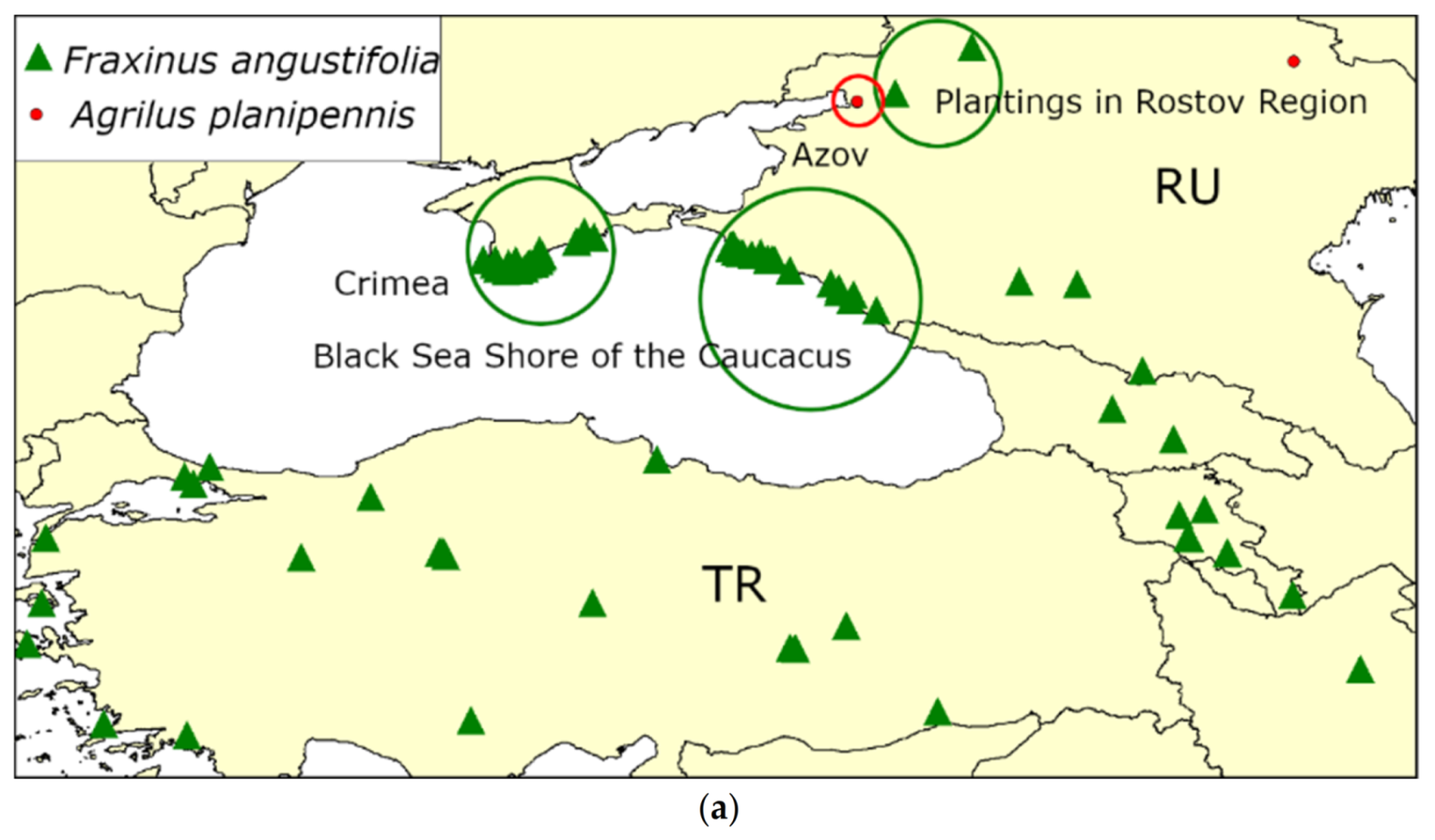 Forests 13 00541 g006a 550
