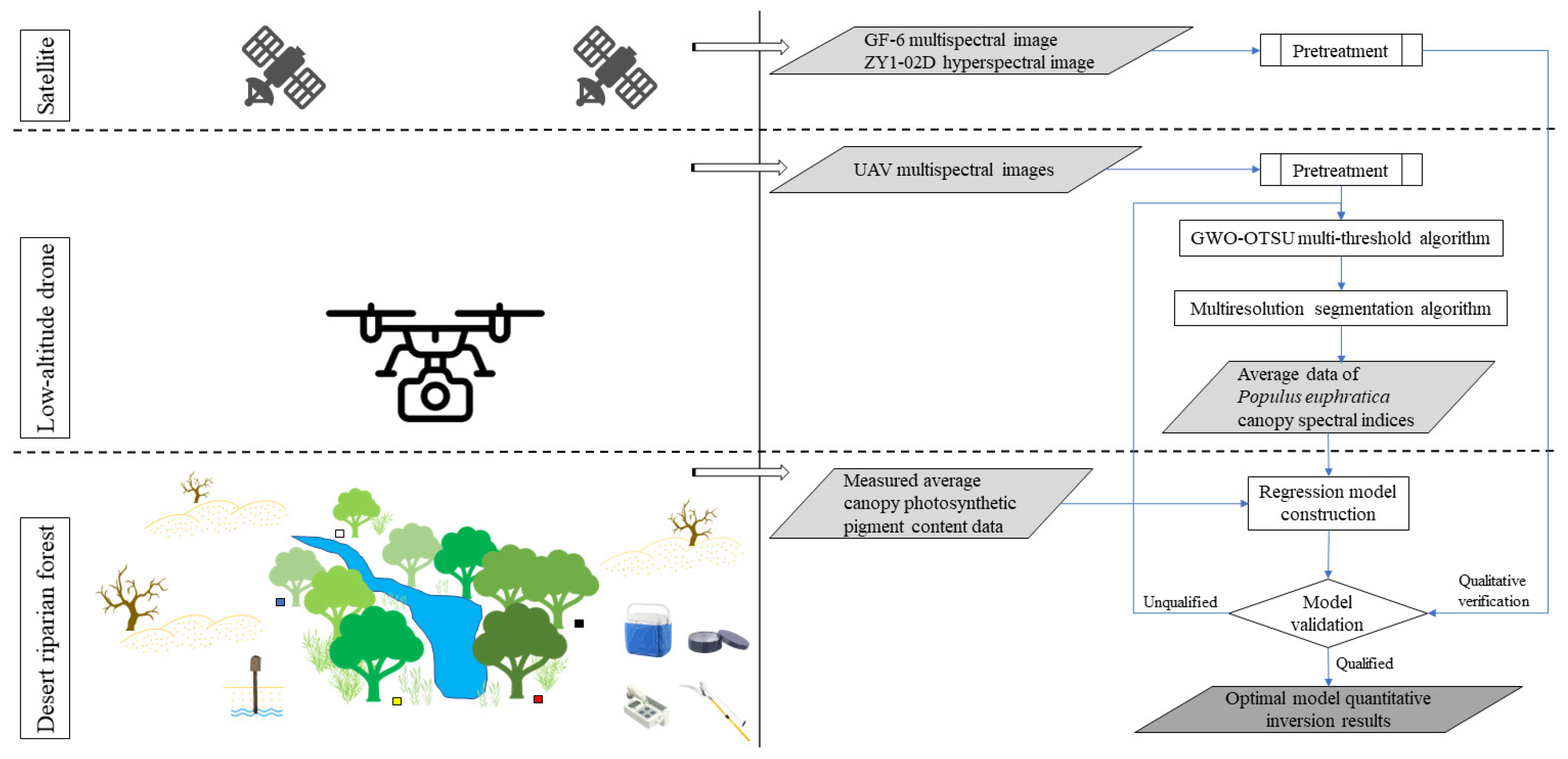 Forests 13 00542 g001