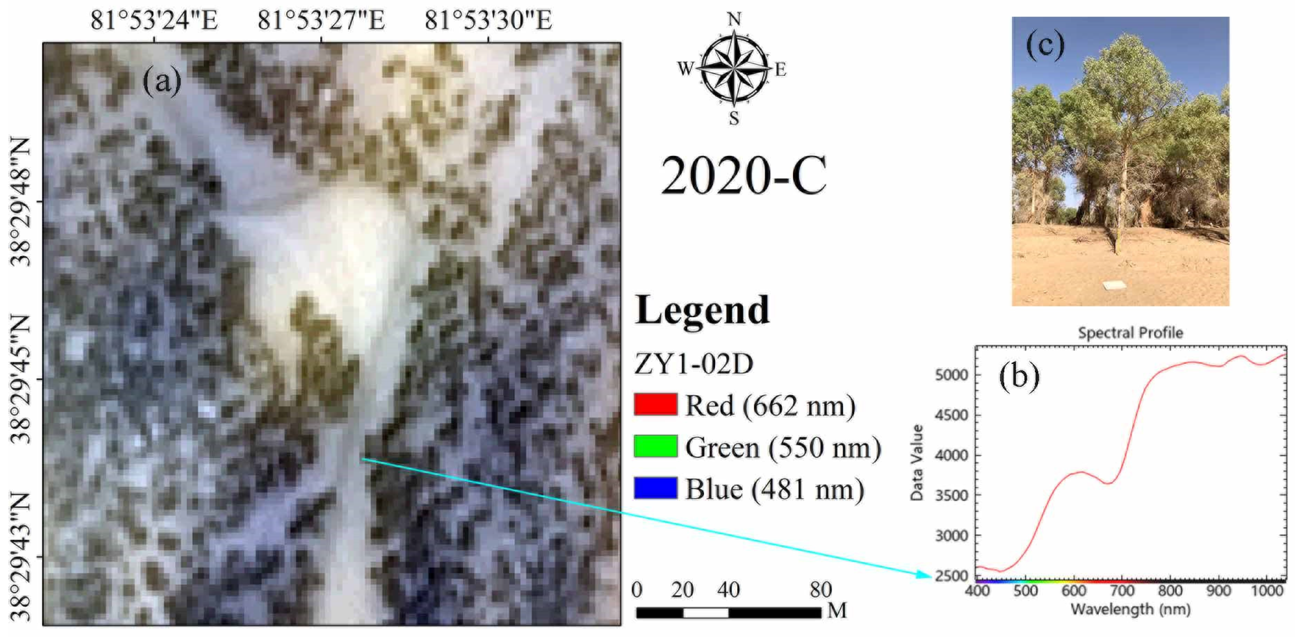 Forests 13 00542 g016