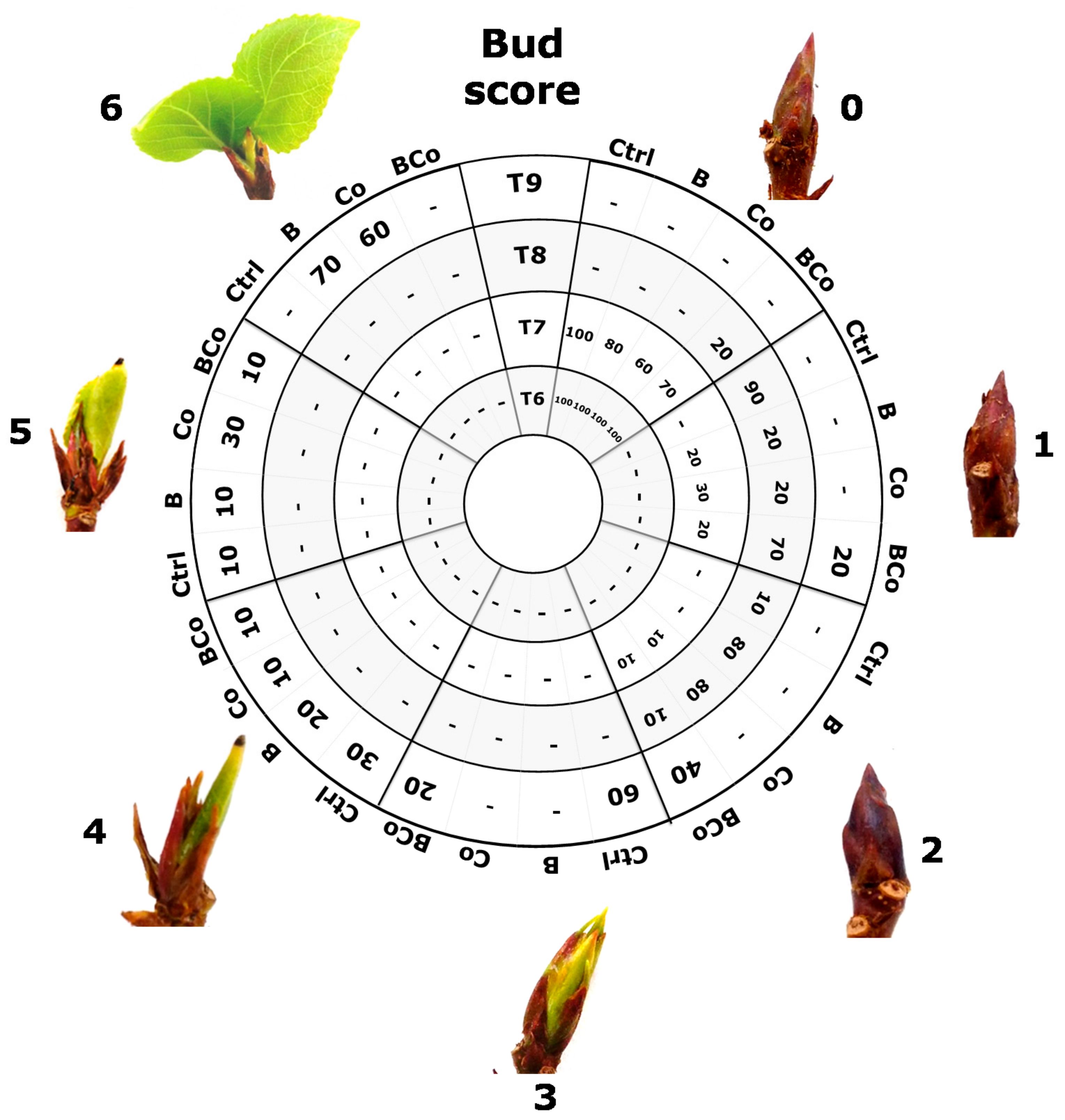 Forests 13 00550 g007
