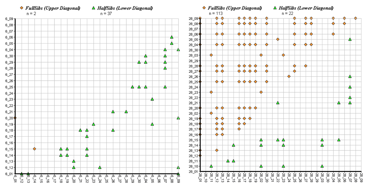 Forests 13 00552 g005