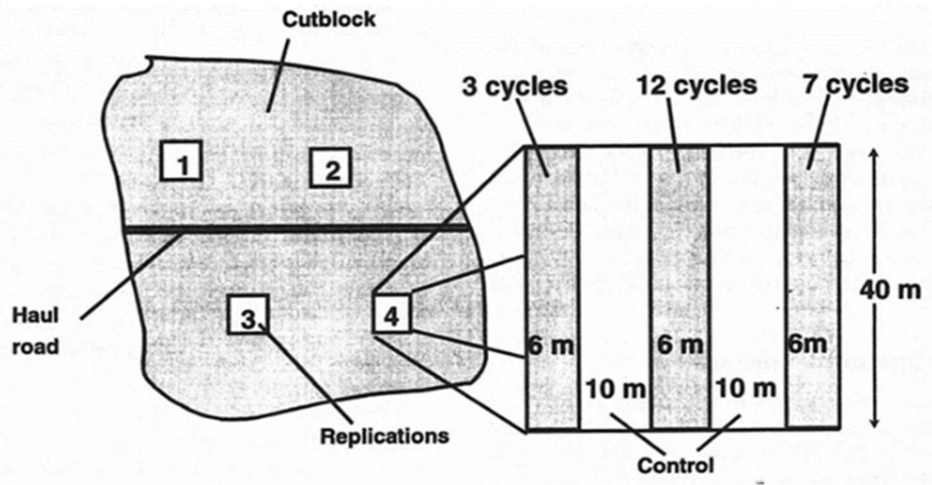Forests 13 00553 g002 550