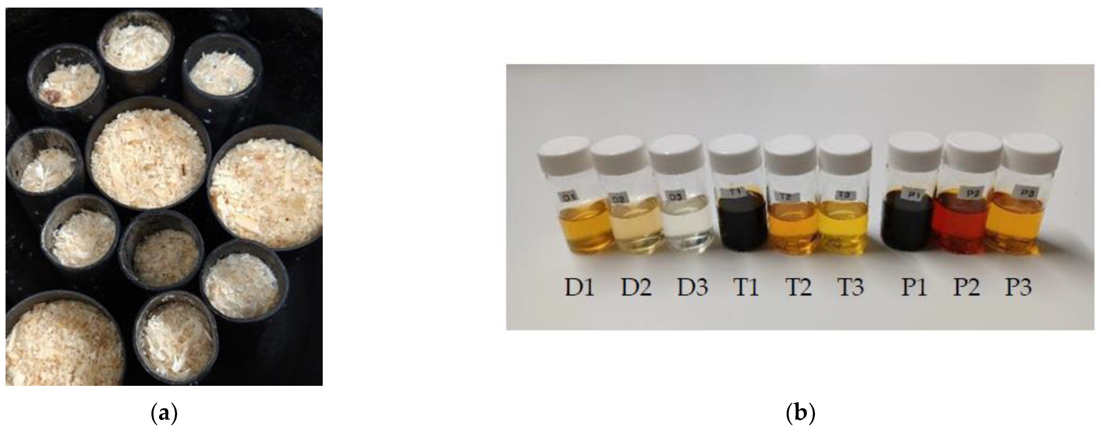 Forests 13 00559 g001 550