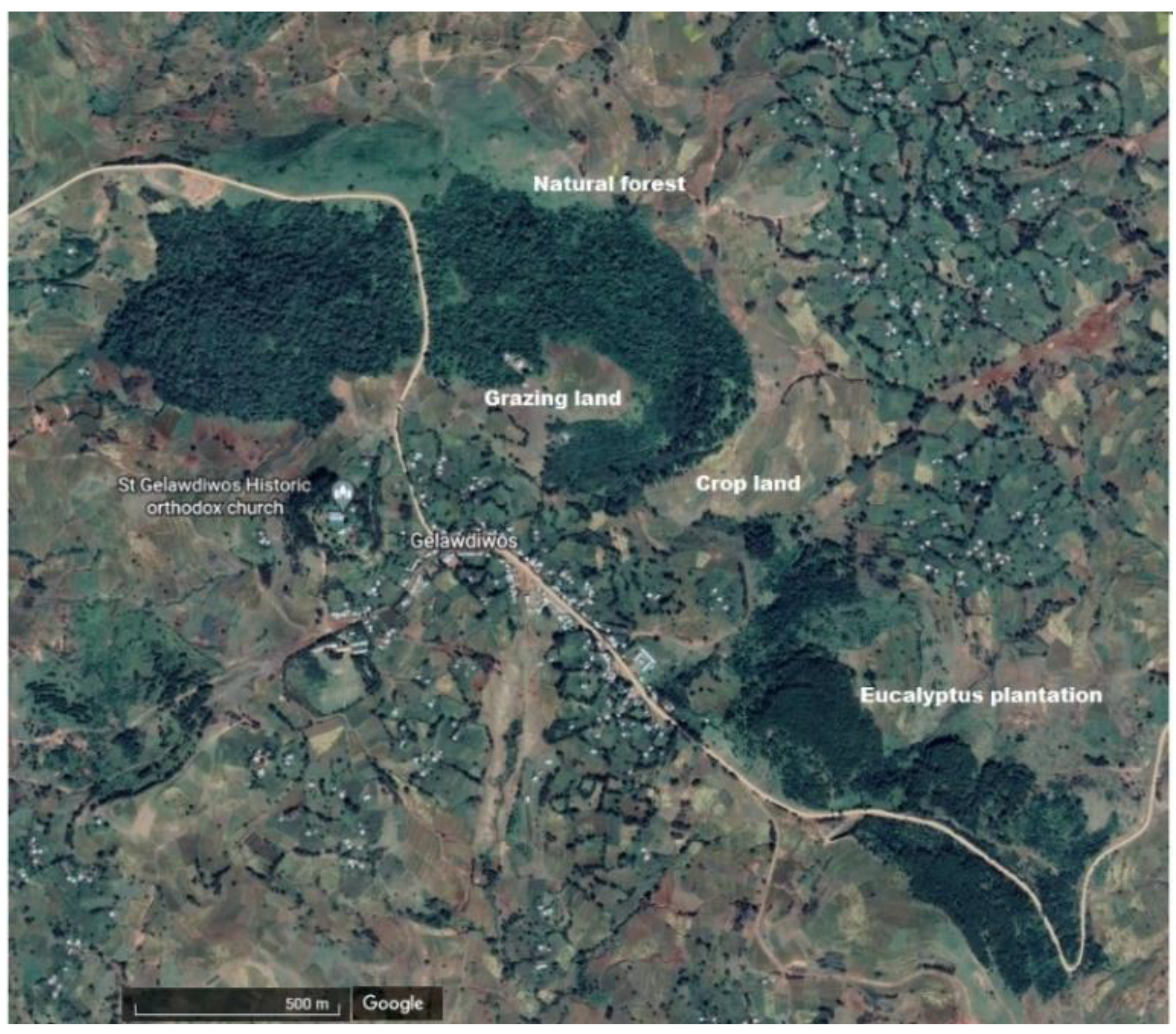 Forests 13 00560 g0a1