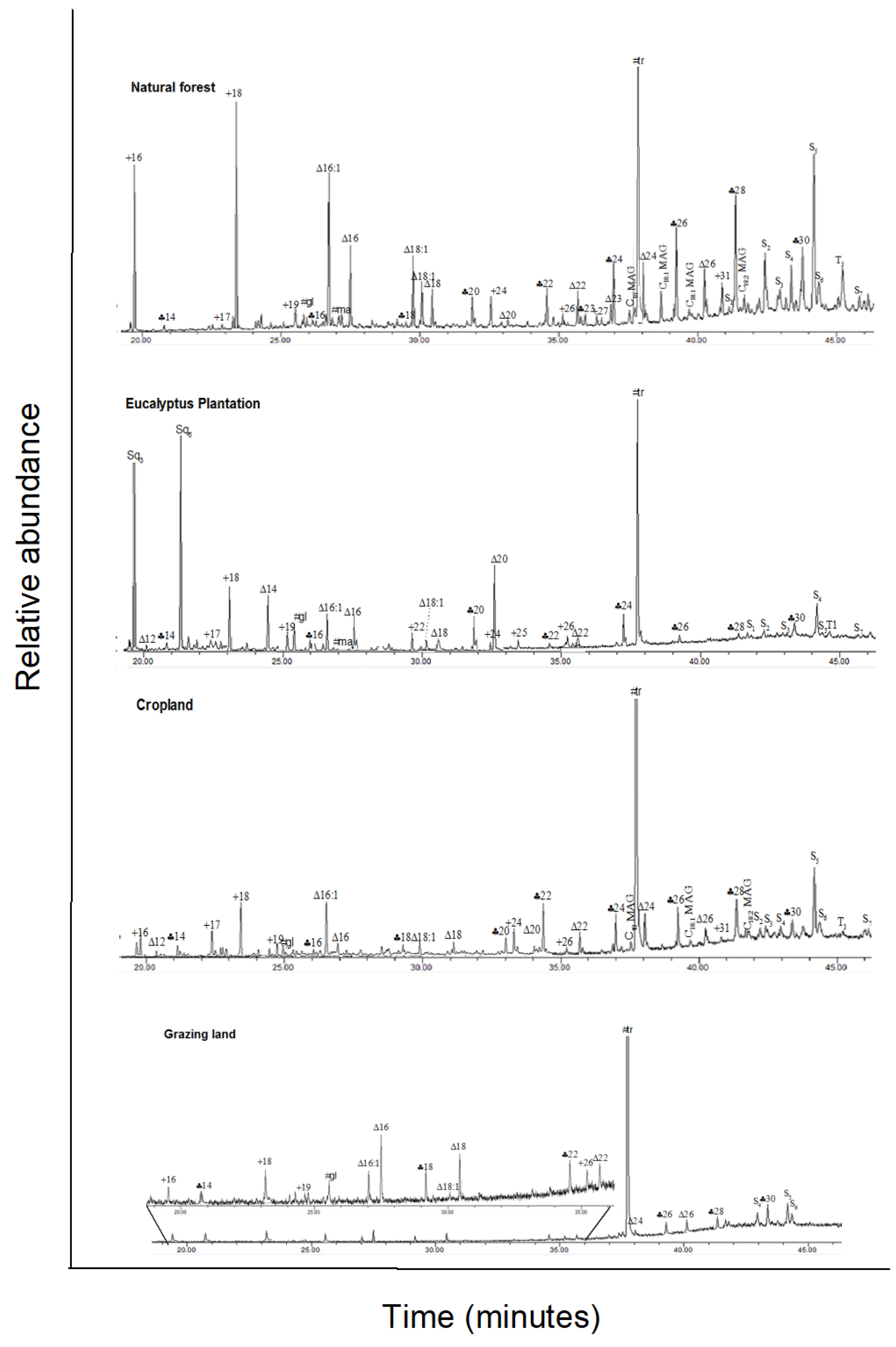 Forests 13 00560 g0a2