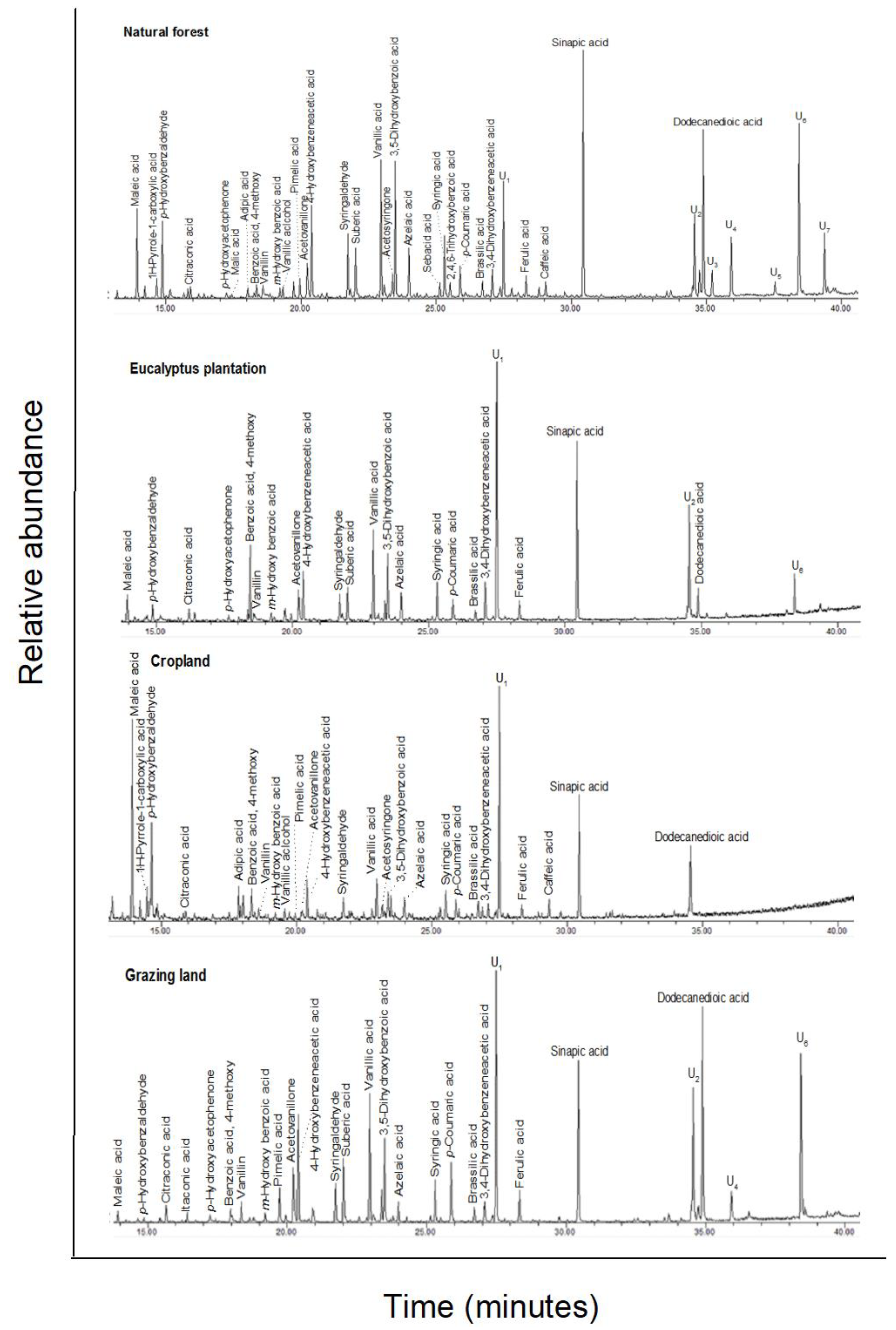 Forests 13 00560 g0a4