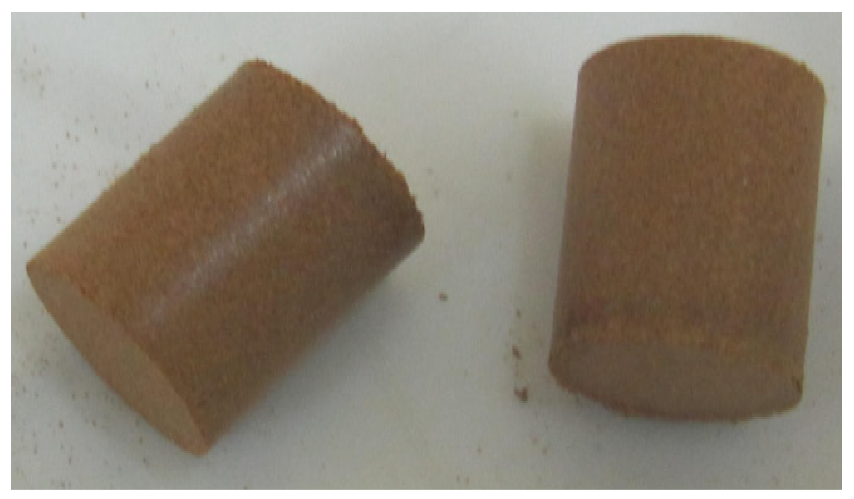 Forests 13 00563 g001