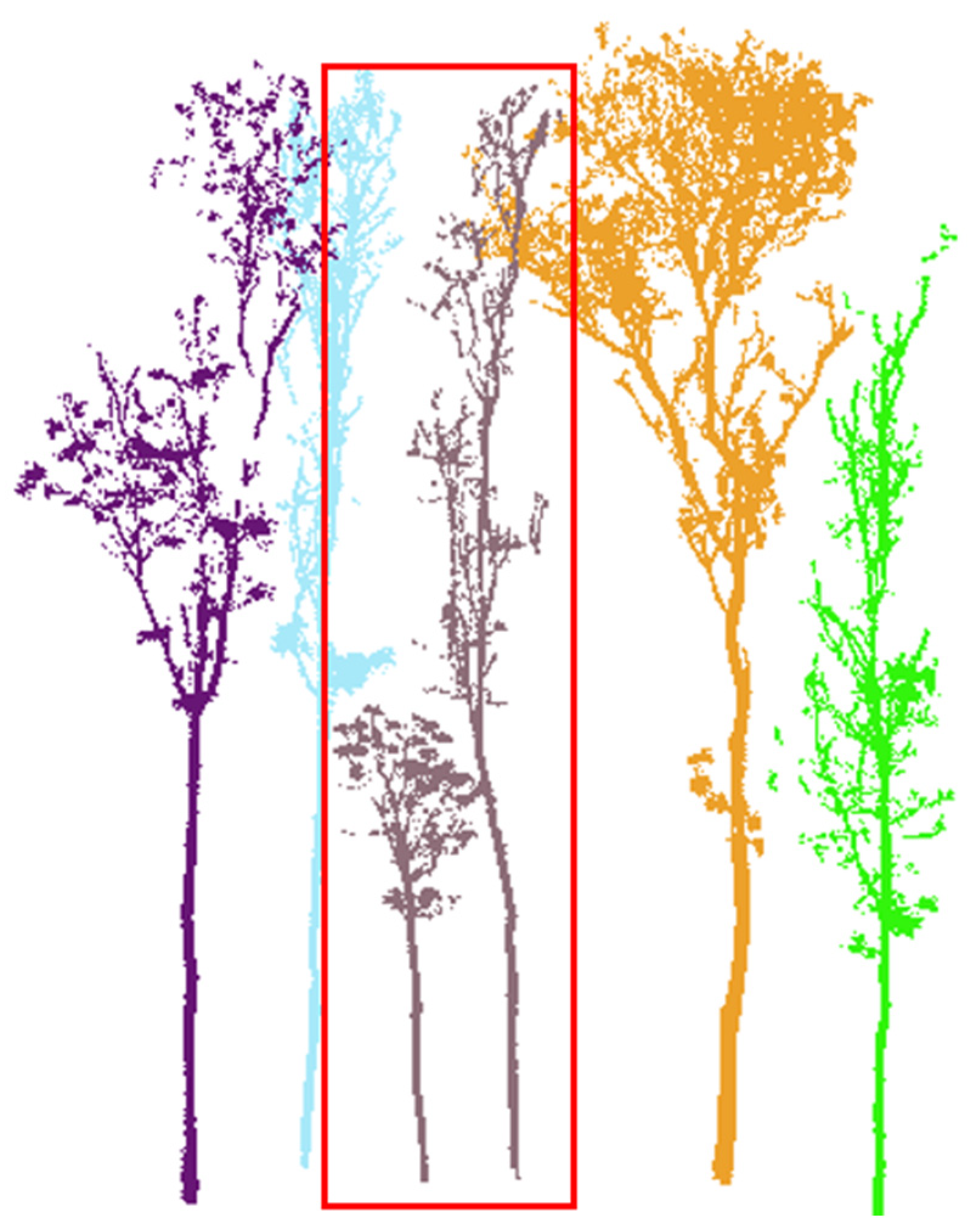 Forests 13 00566 g009