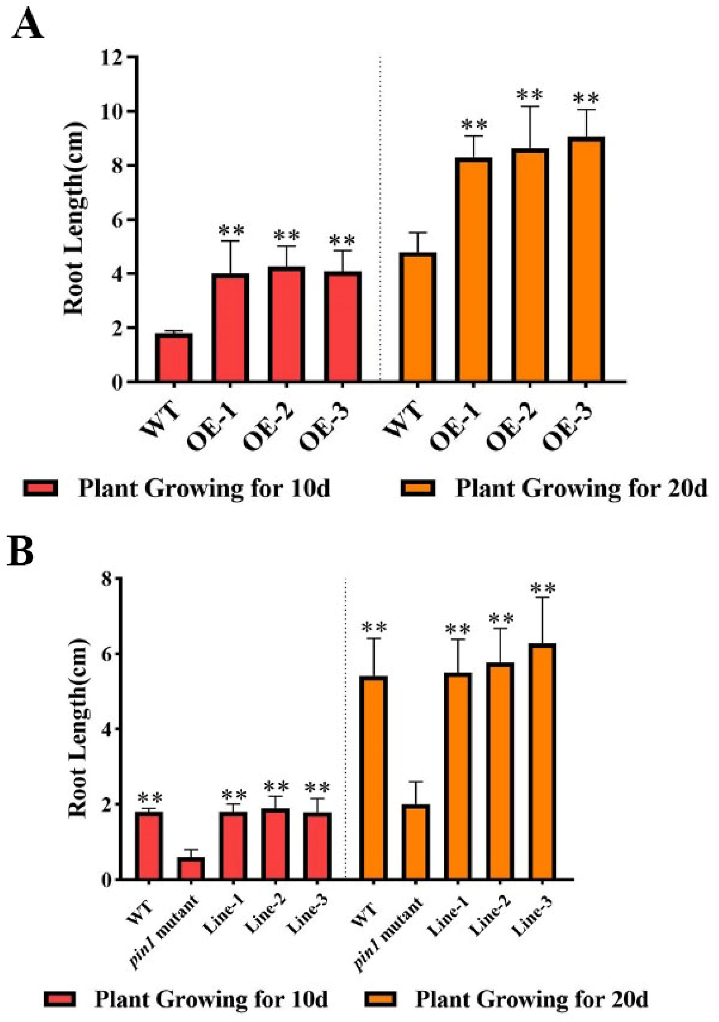 Forests 13 00568 g004