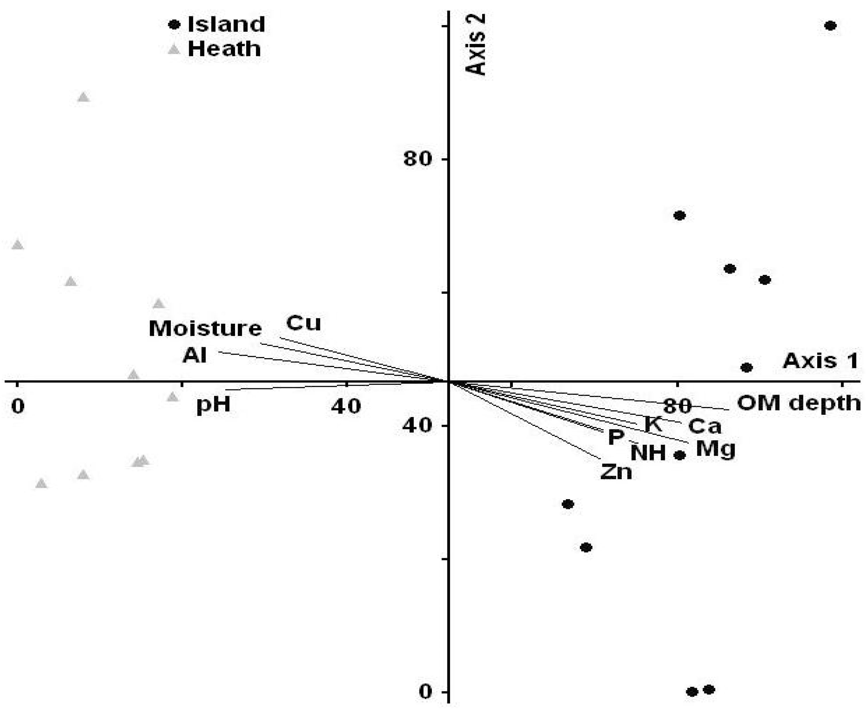 Forests 13 00570 g007 550