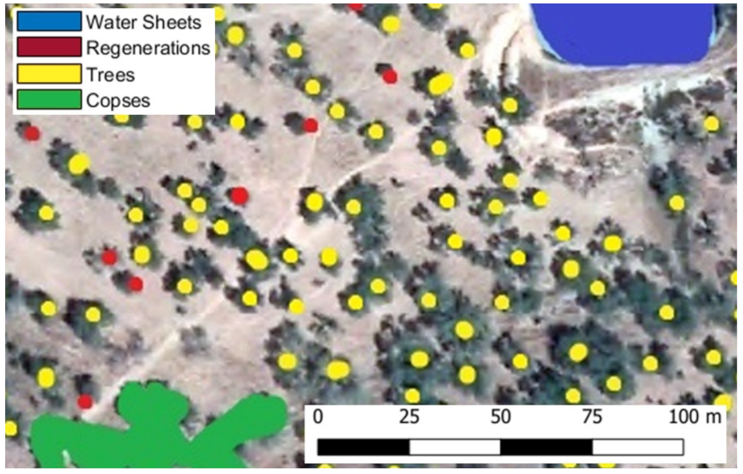 Forests 13 00581 g002