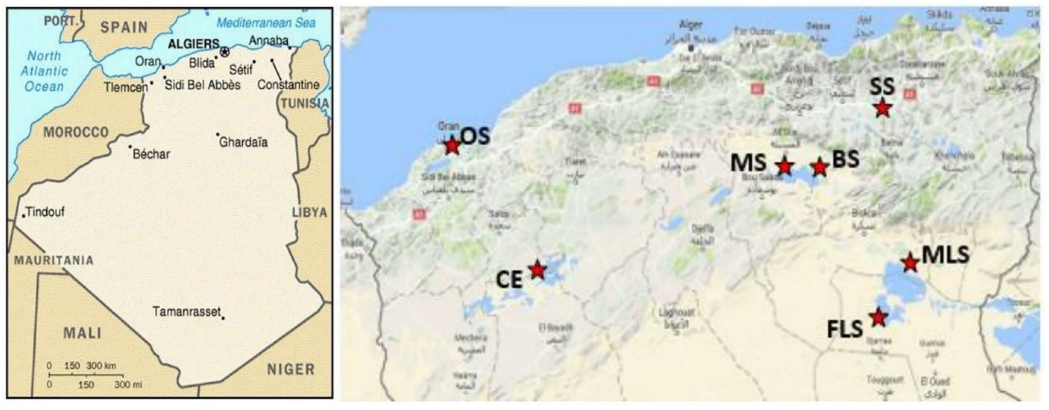 Forests 13 00586 g001 Forests 13 00586 g001