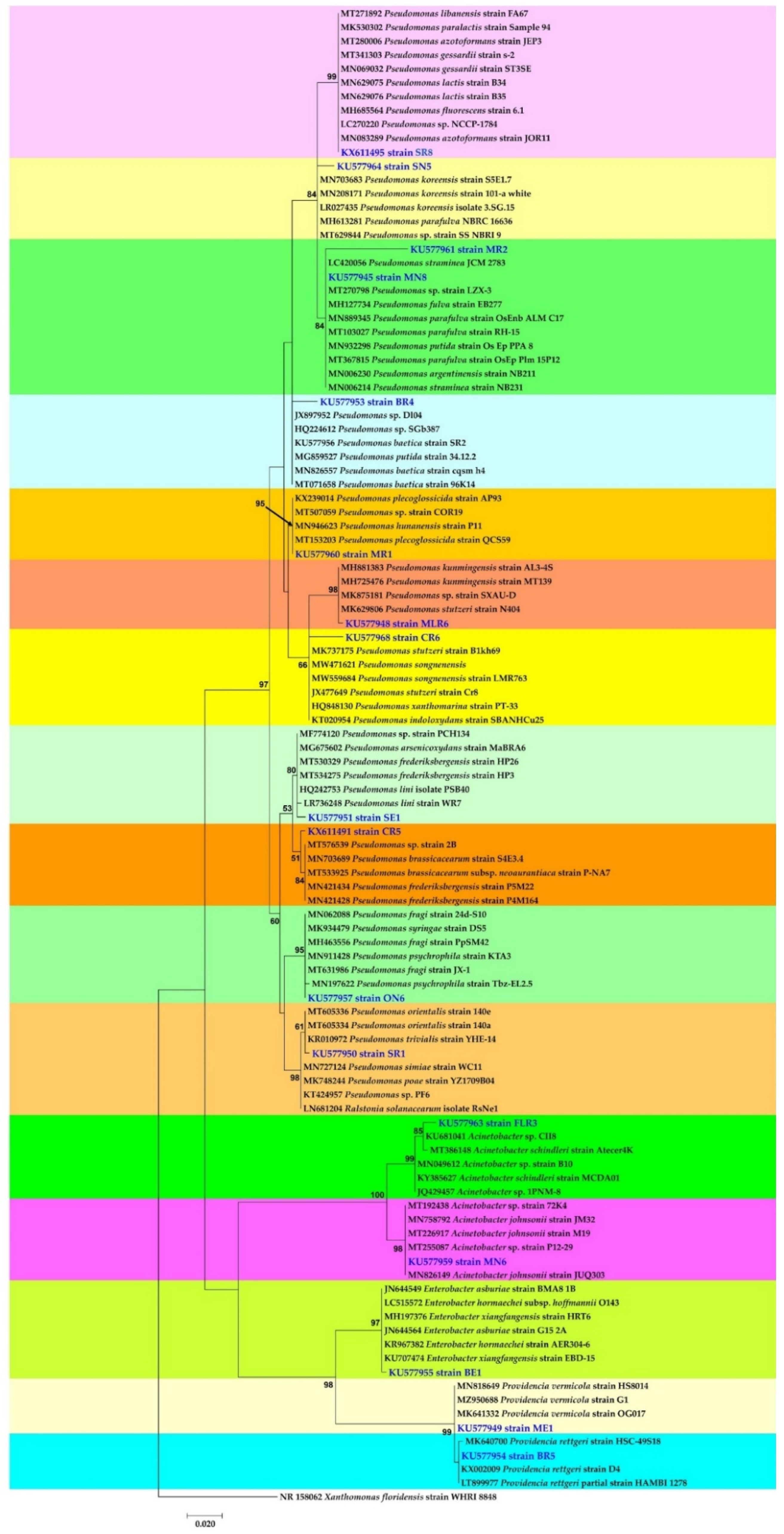 Forests 13 00586 g005 Forests 13 00586 g005
