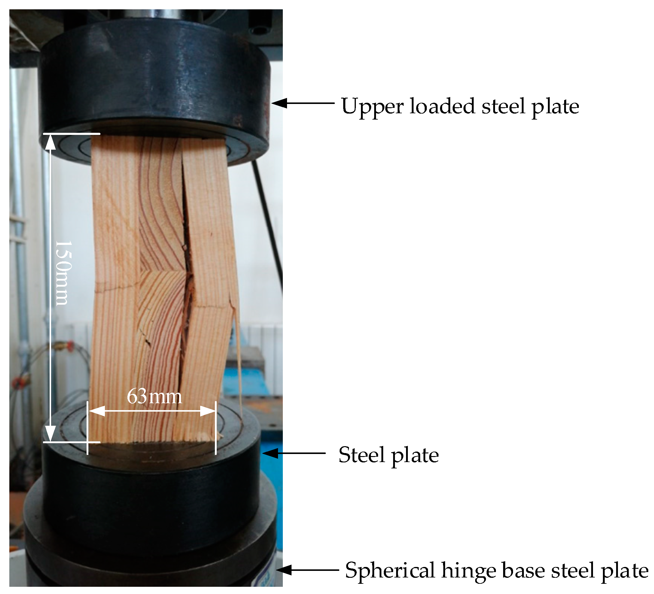 Forests 13 00591 g001 550