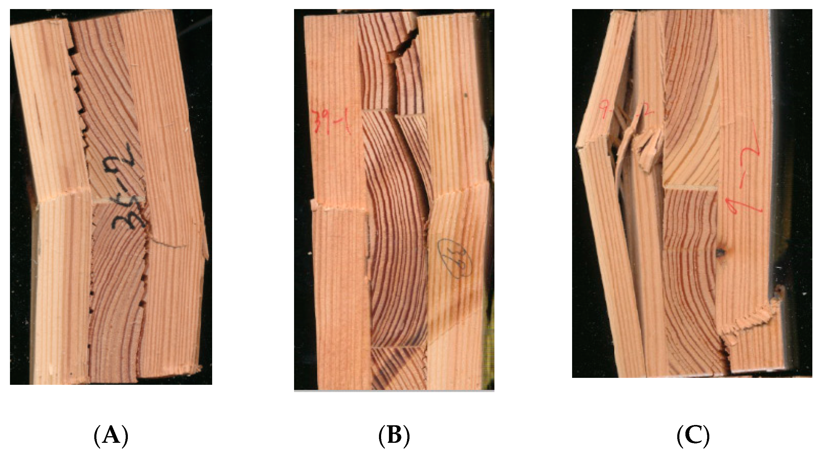 Forests 13 00591 g002 550