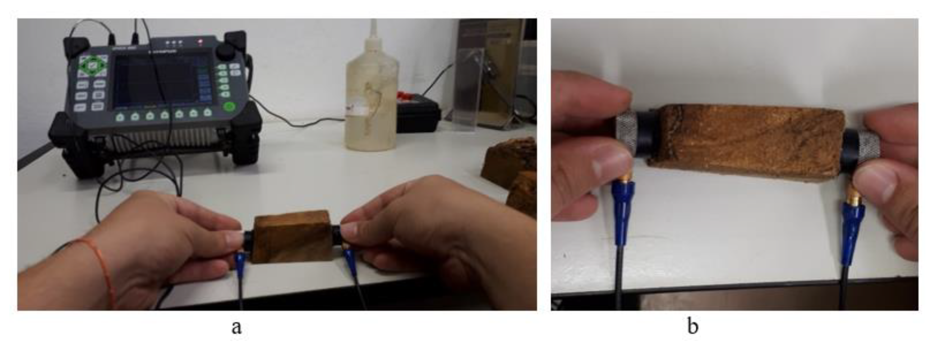 Forests 13 00596 g005