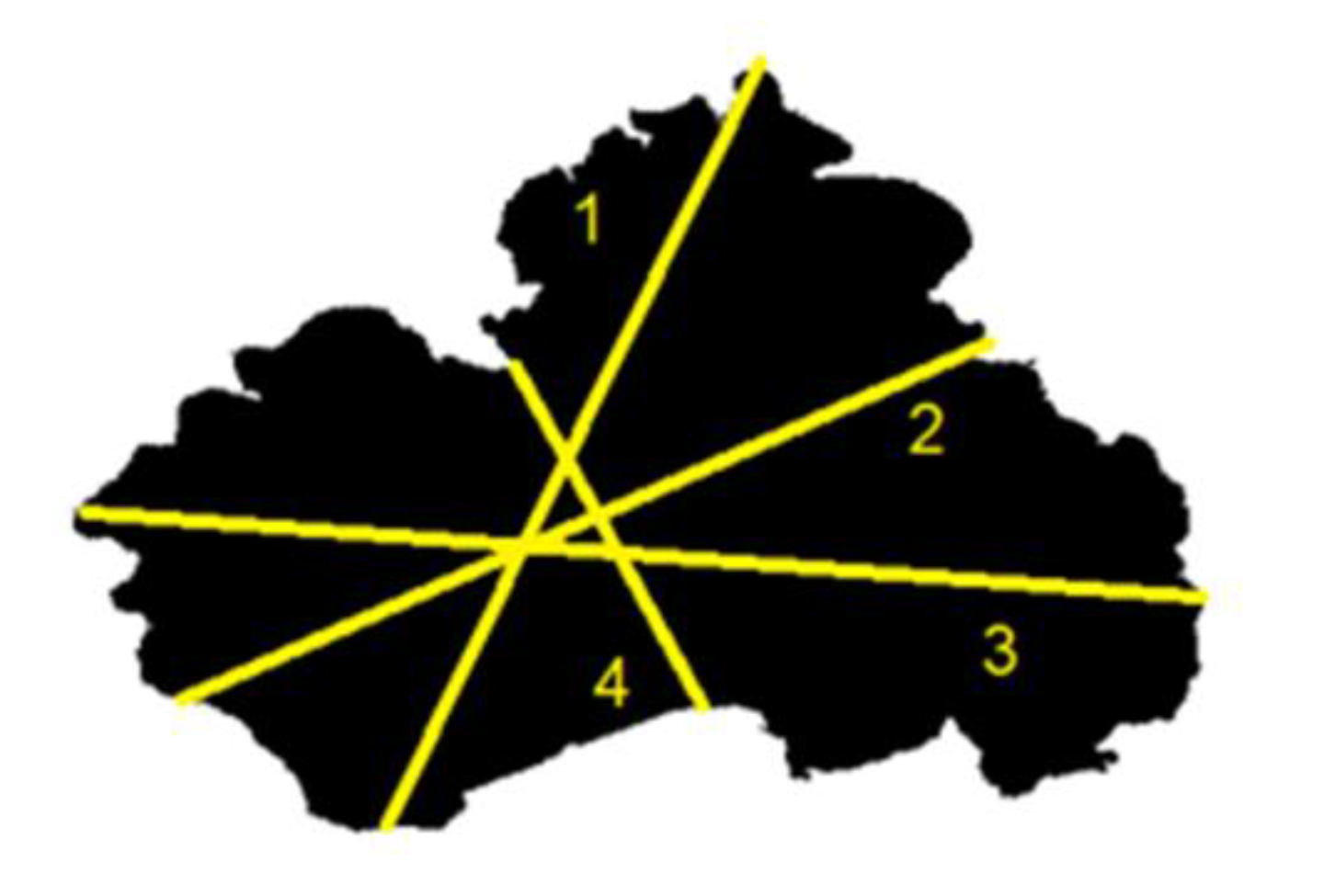 Forests 13 00596 g006