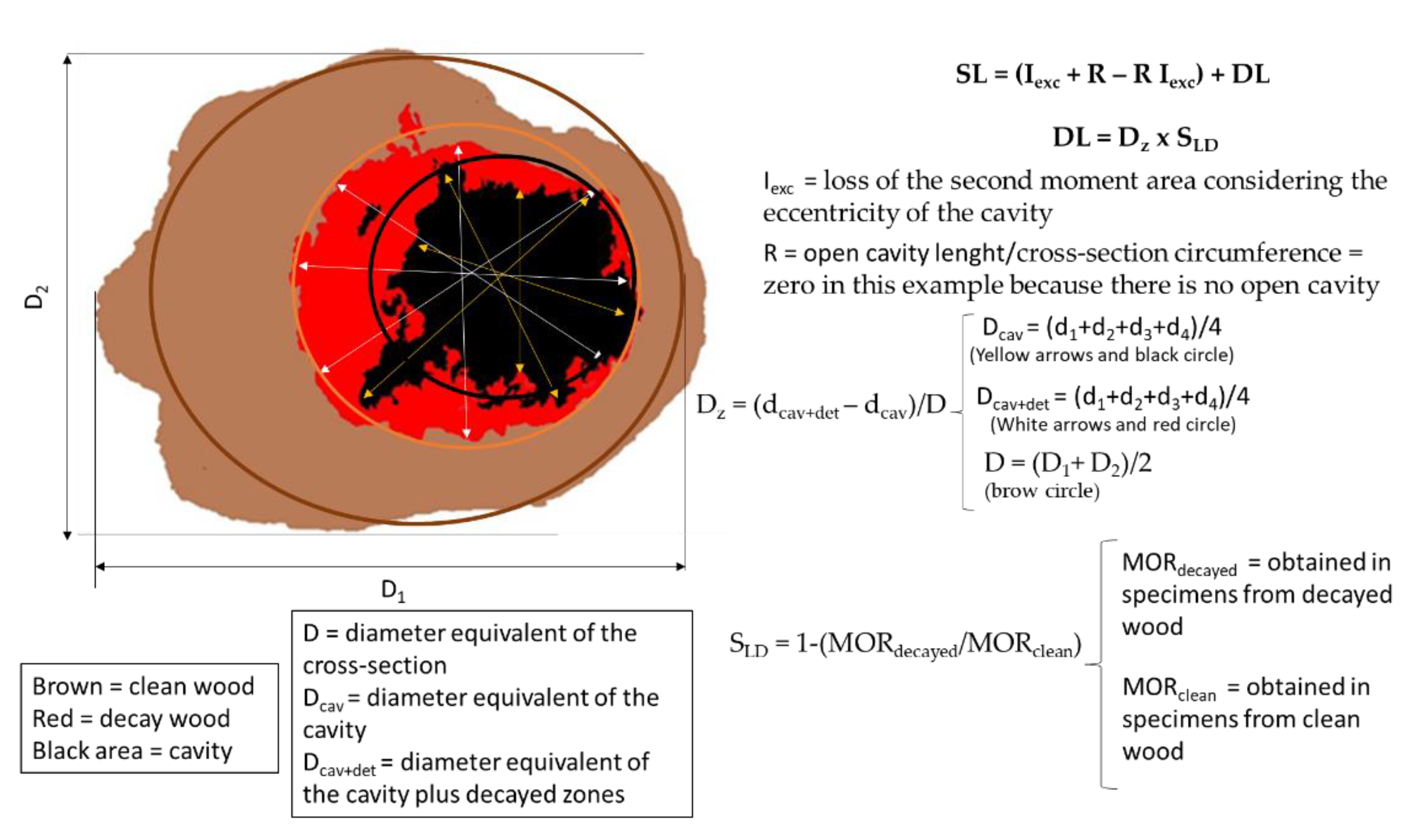 Forests 13 00596 g008