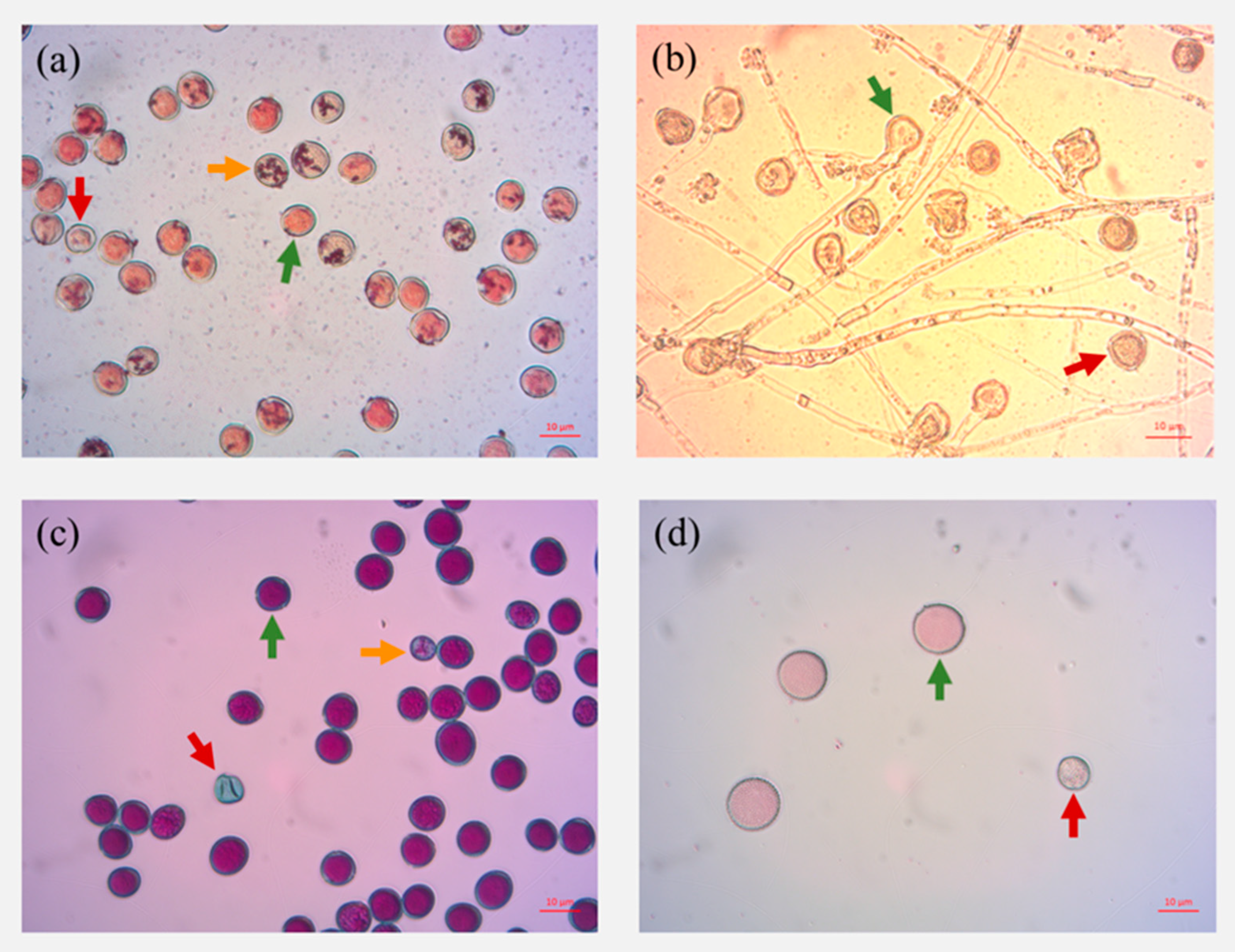 Forests 13 00600 g001 Forests 13 00600 g001