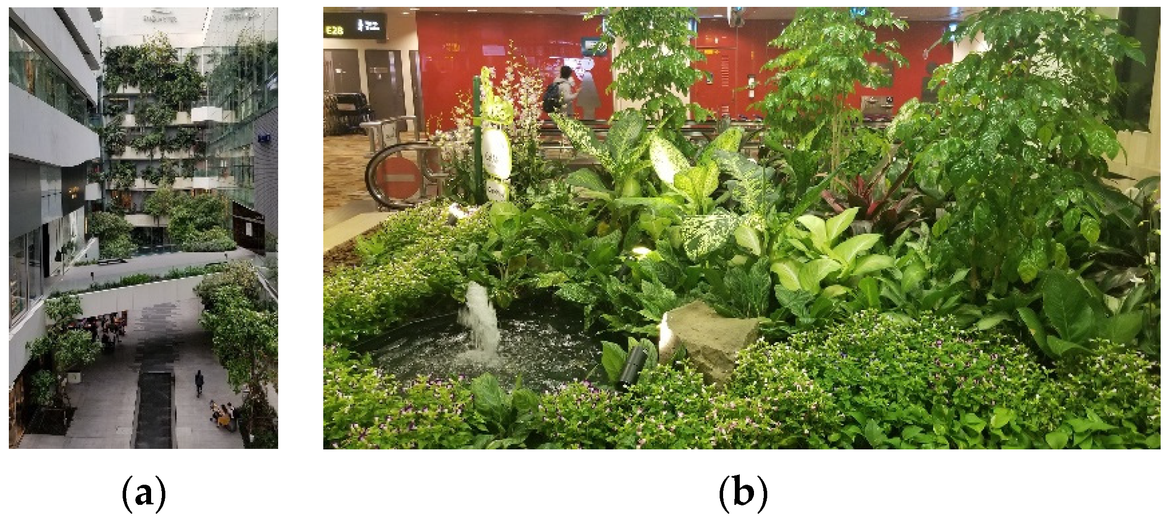 Forests 13 00602 g001