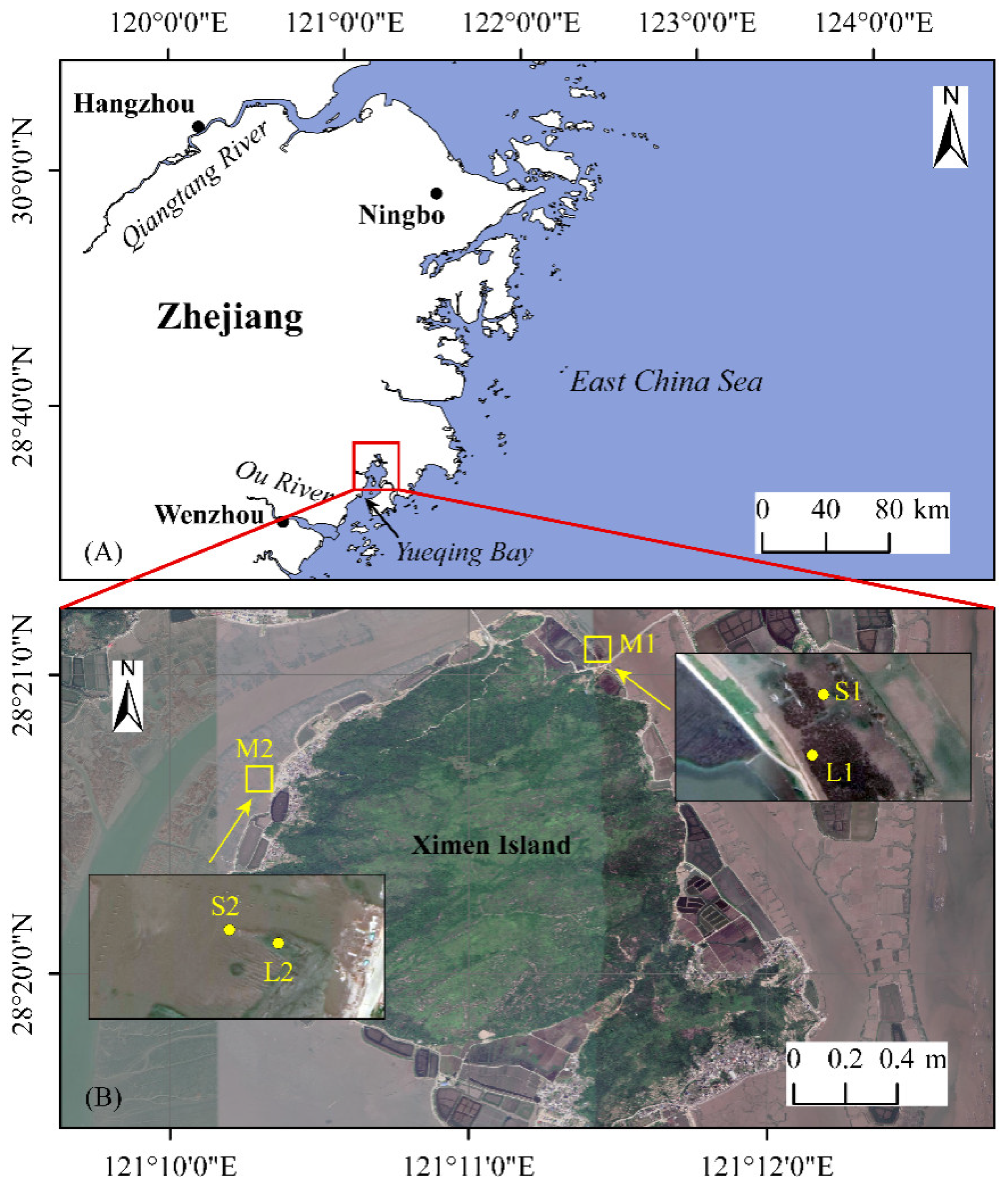 Forests 13 00610 g001