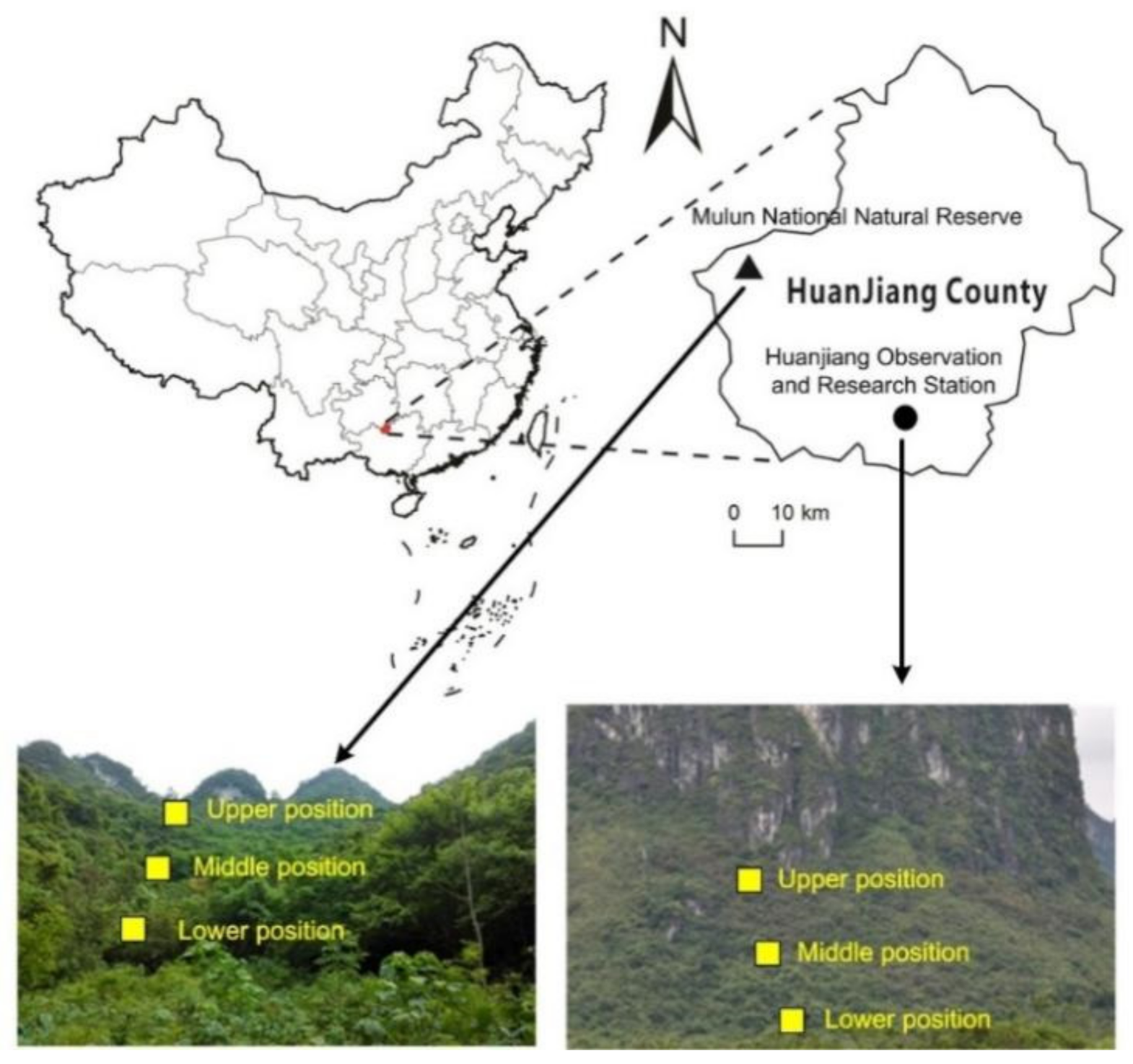 Forests 13 00611 g001