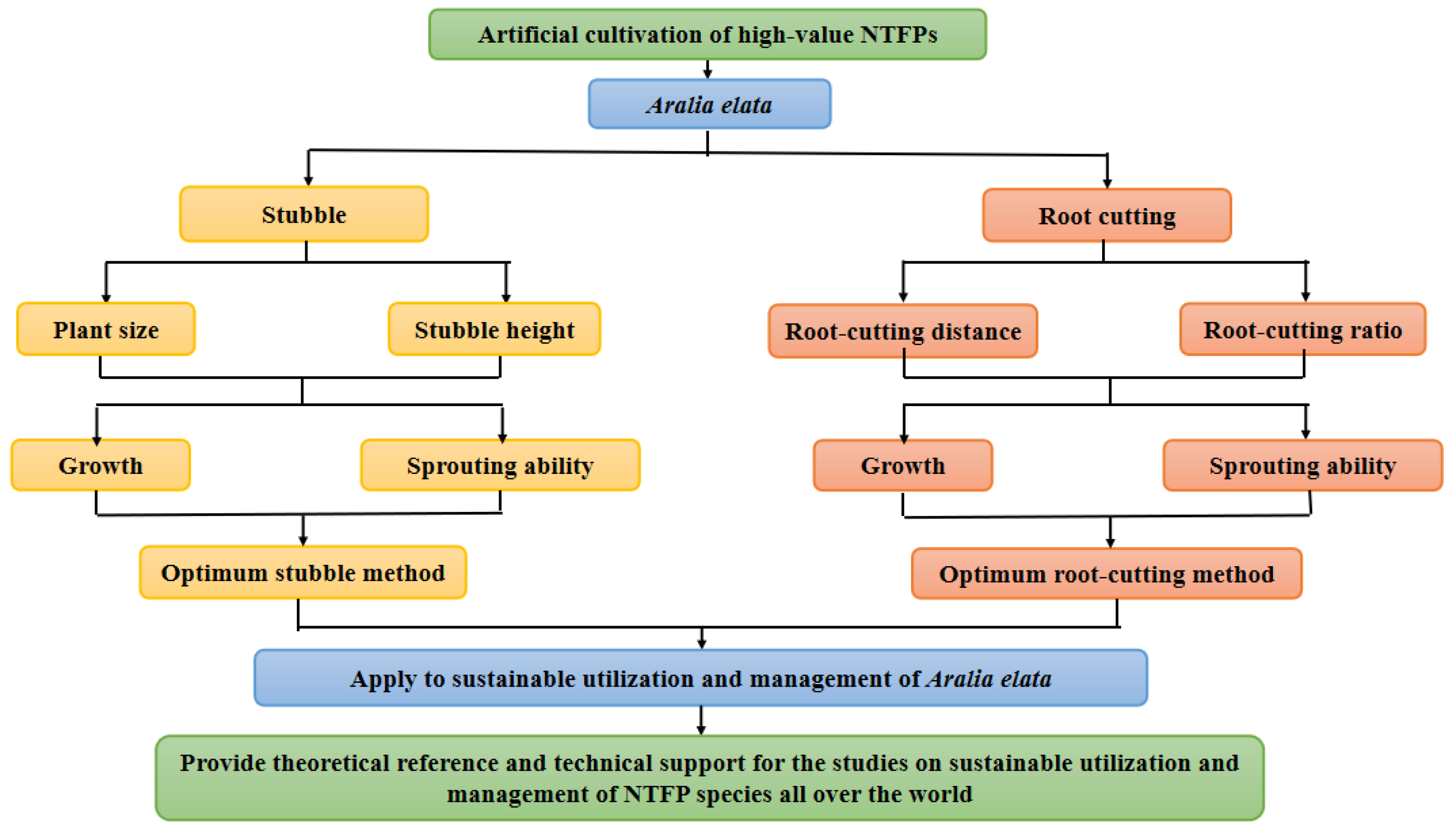 Forests 13 00612 g001